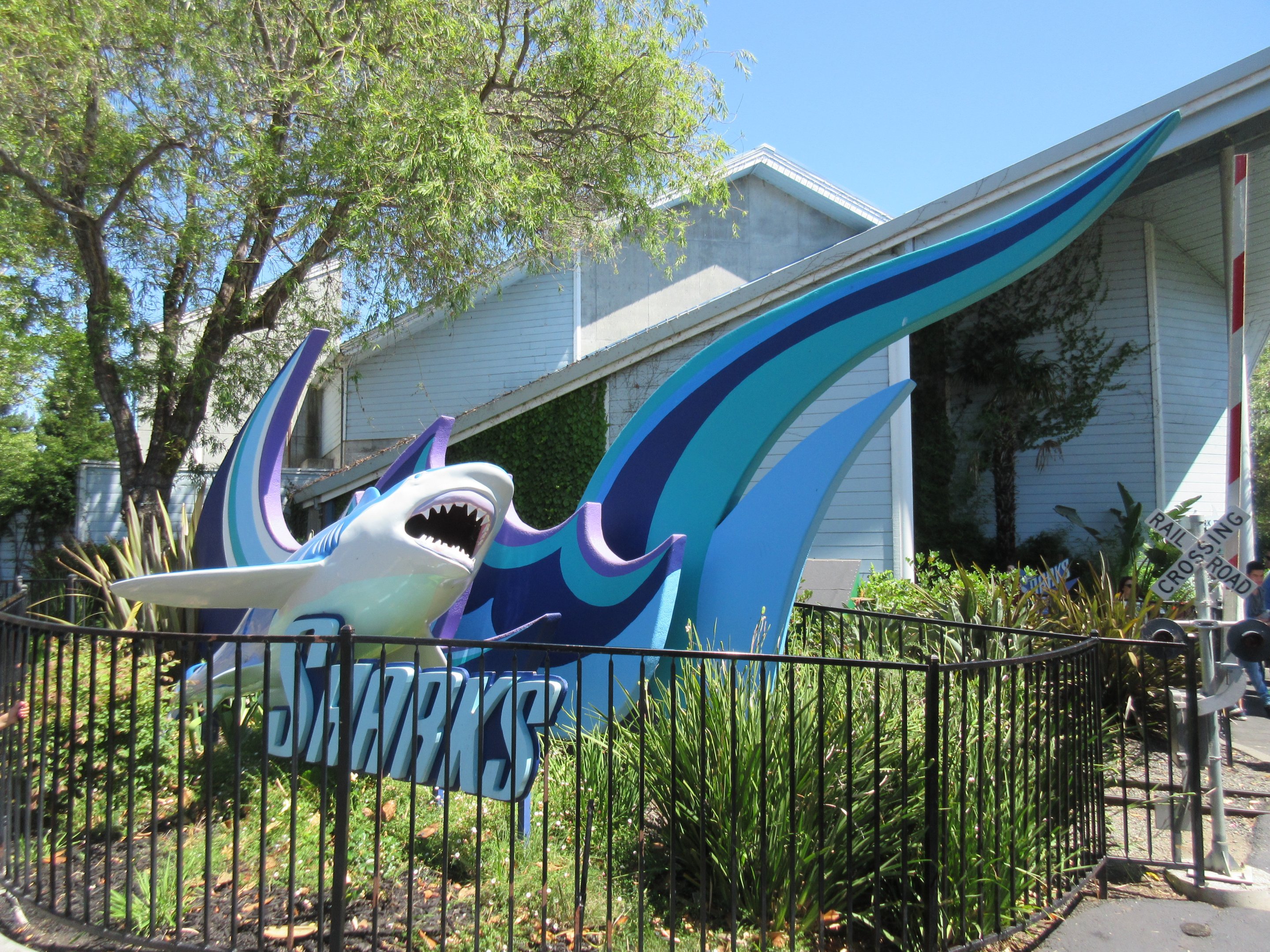 Shark Experience - Entrance Area