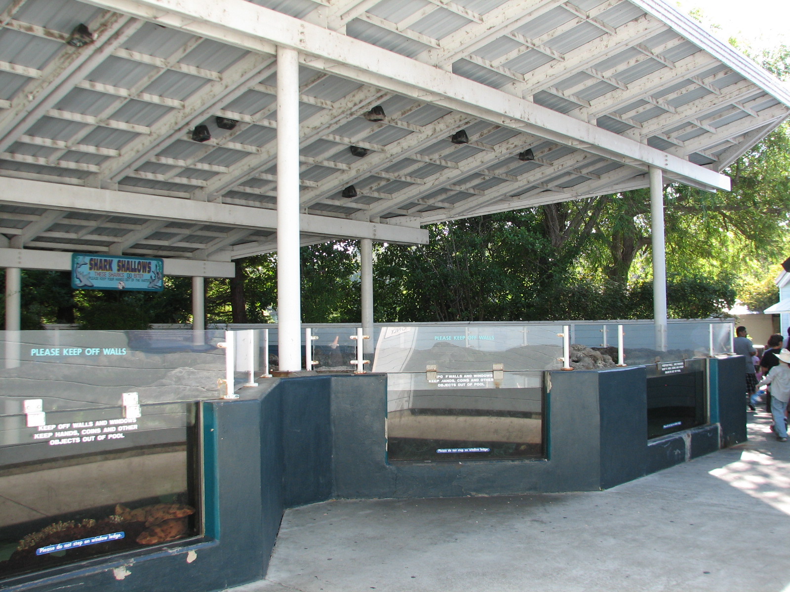 Shark Experience - Shark Shallows Exhibit