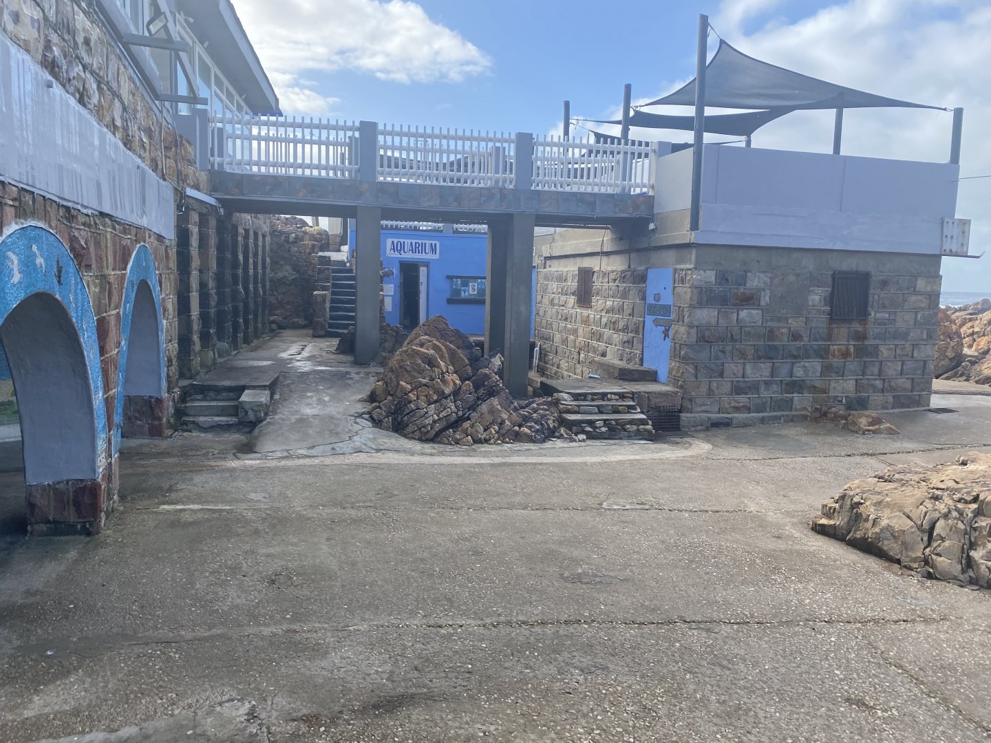 Shark lab mini aquarium entrance