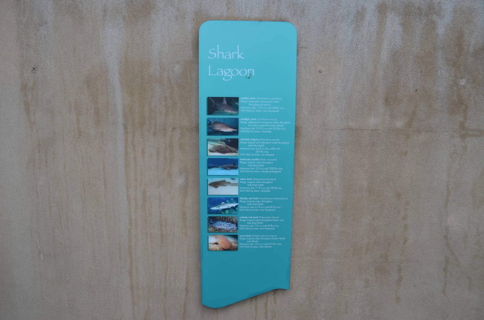 Shark Lagoon Signage