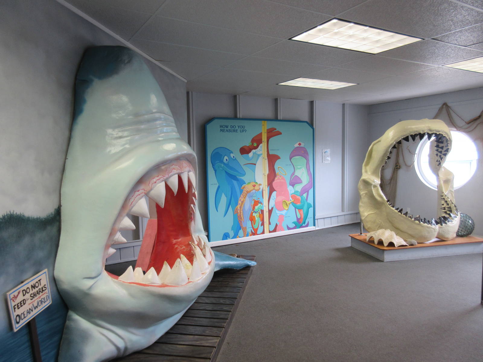 Shark Mouth Photo Op