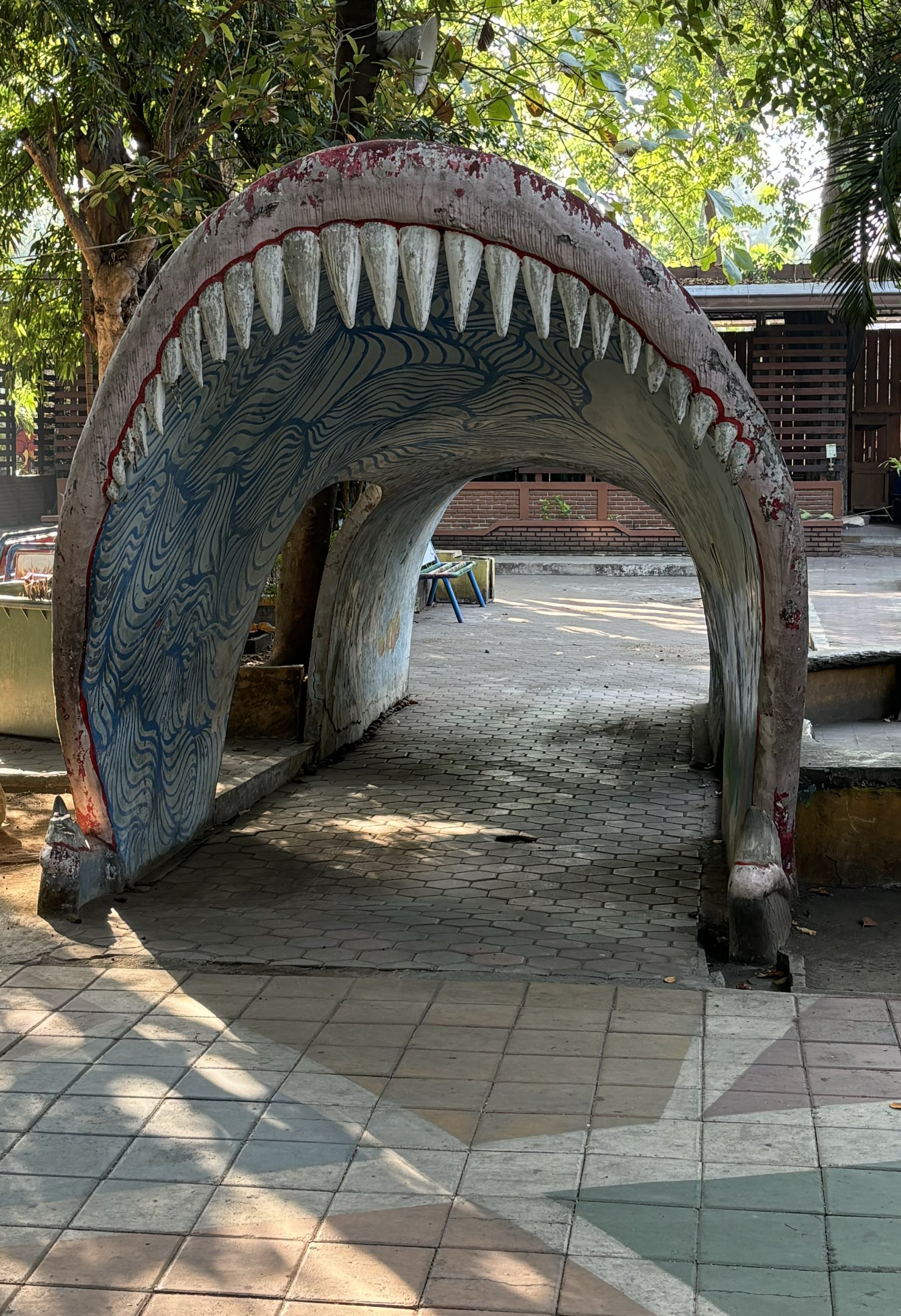 Shark Mouth Tunnel