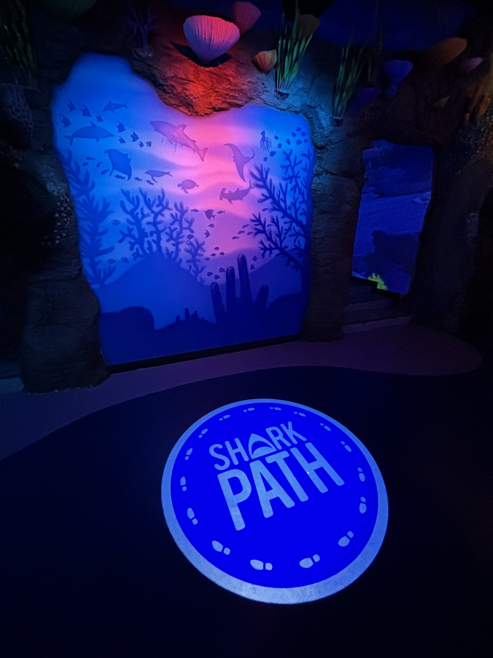 Shark Path Entrance - BXSea Aquarium