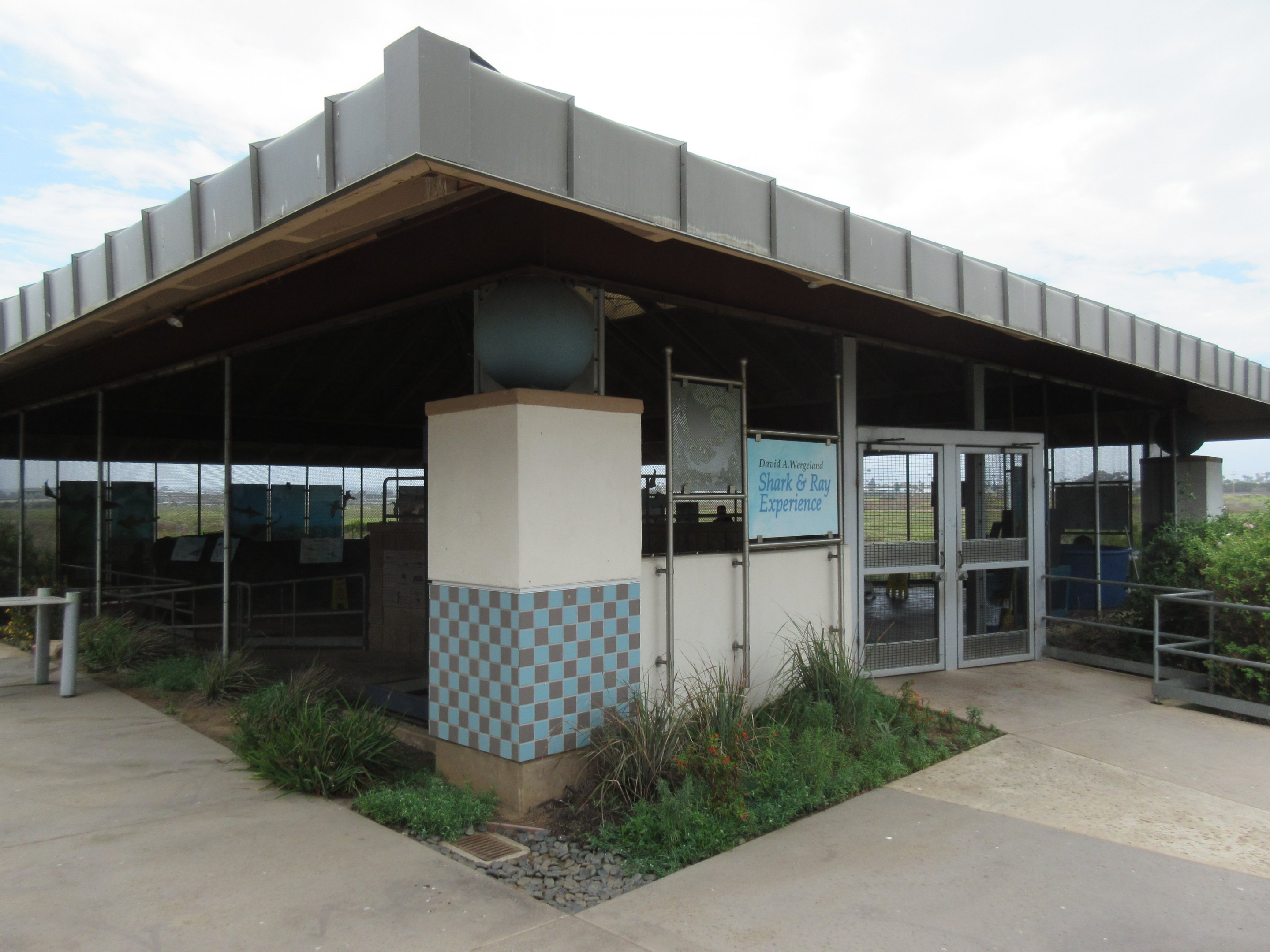 Shark & Ray Experience