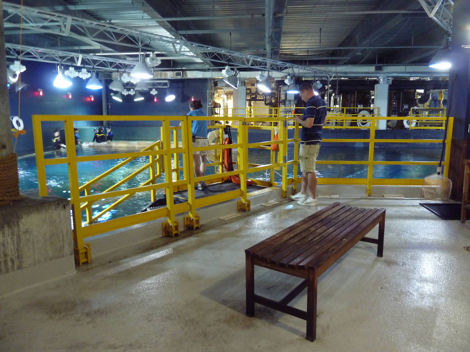 Shark Realm (Top View)