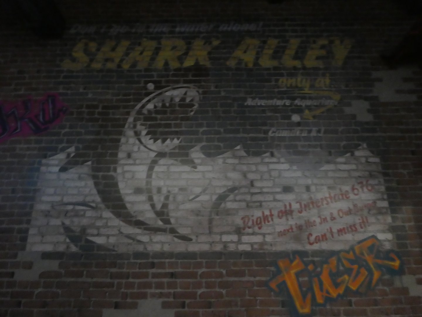 Shark Realm - View of Wall Near Entry