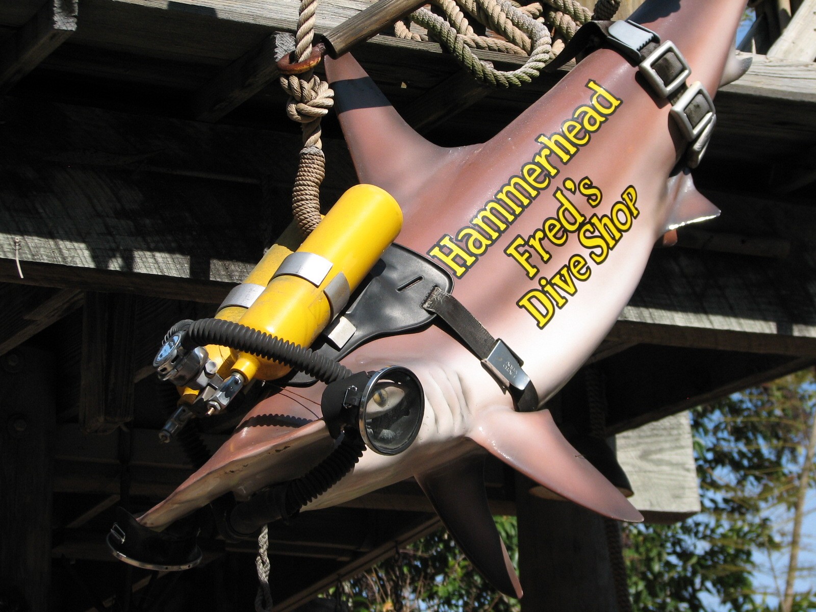 Shark Reef at Disney Typhoon Lagoon - Detail