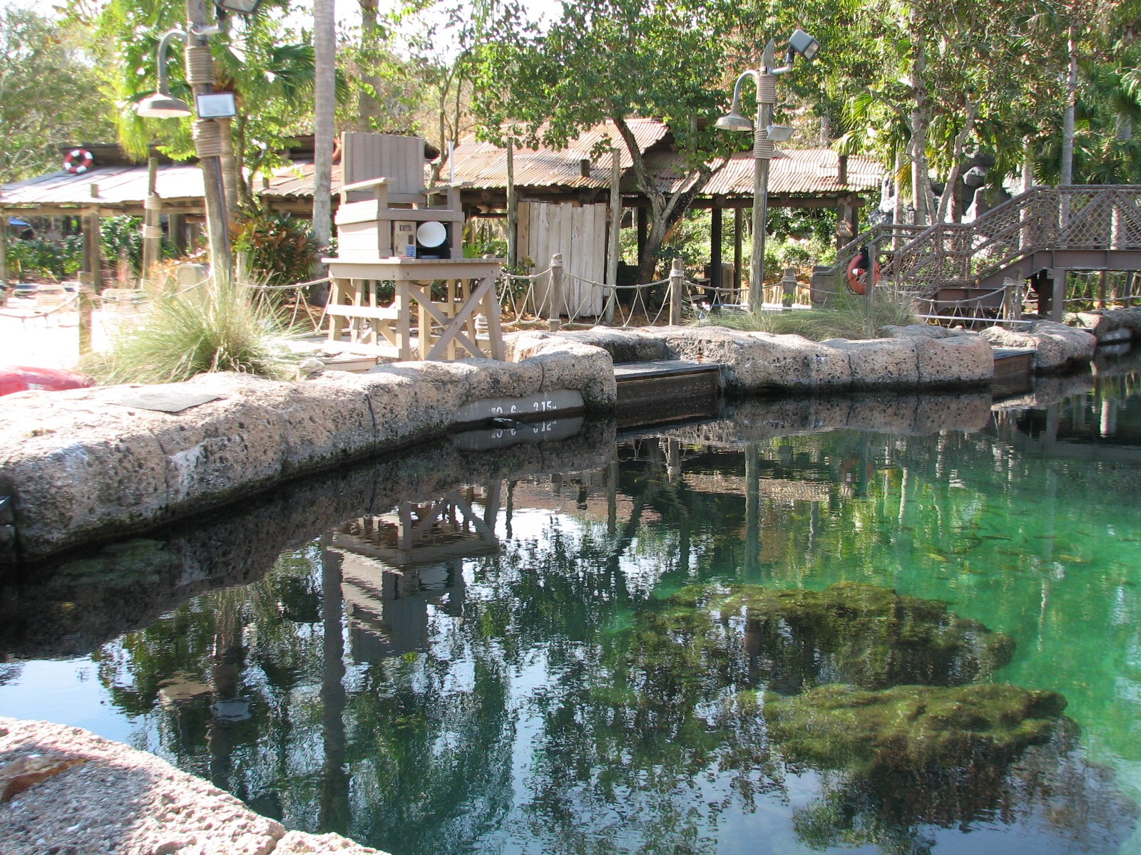 Shark Reef at Disney Typhoon Lagoon