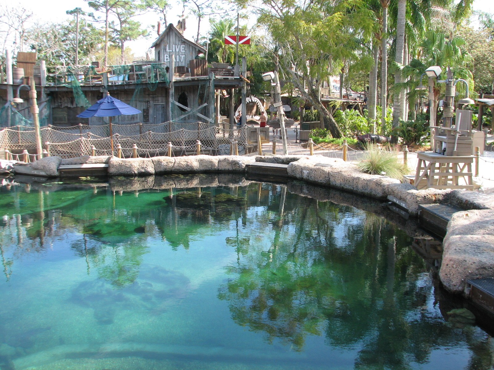 Shark Reef at Disney Typhoon Lagoon
