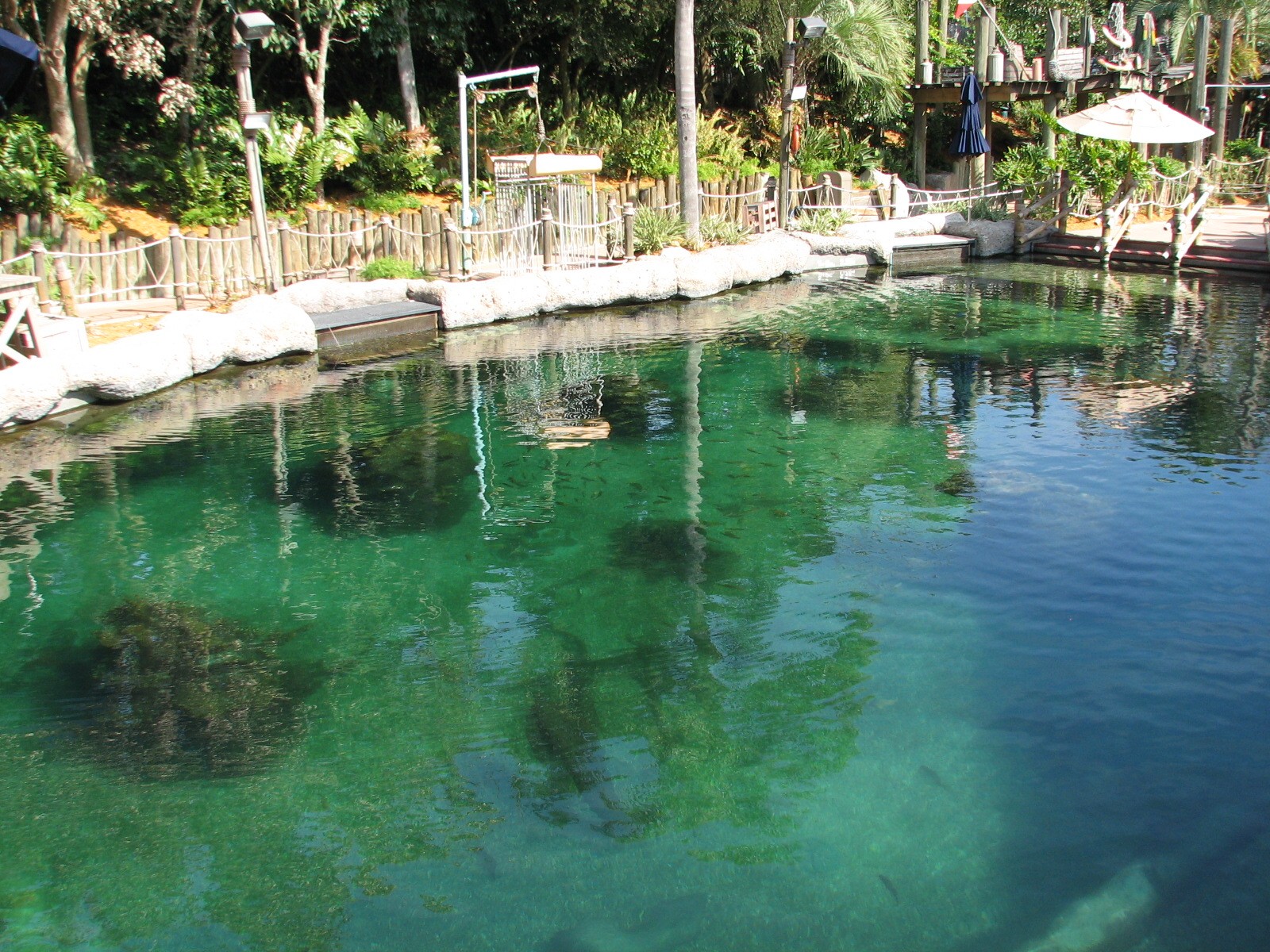 Shark Reef at Disney Typhoon Lagoon
