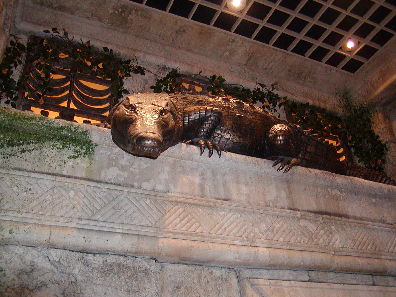 Shark Reef at Mandalay Bay