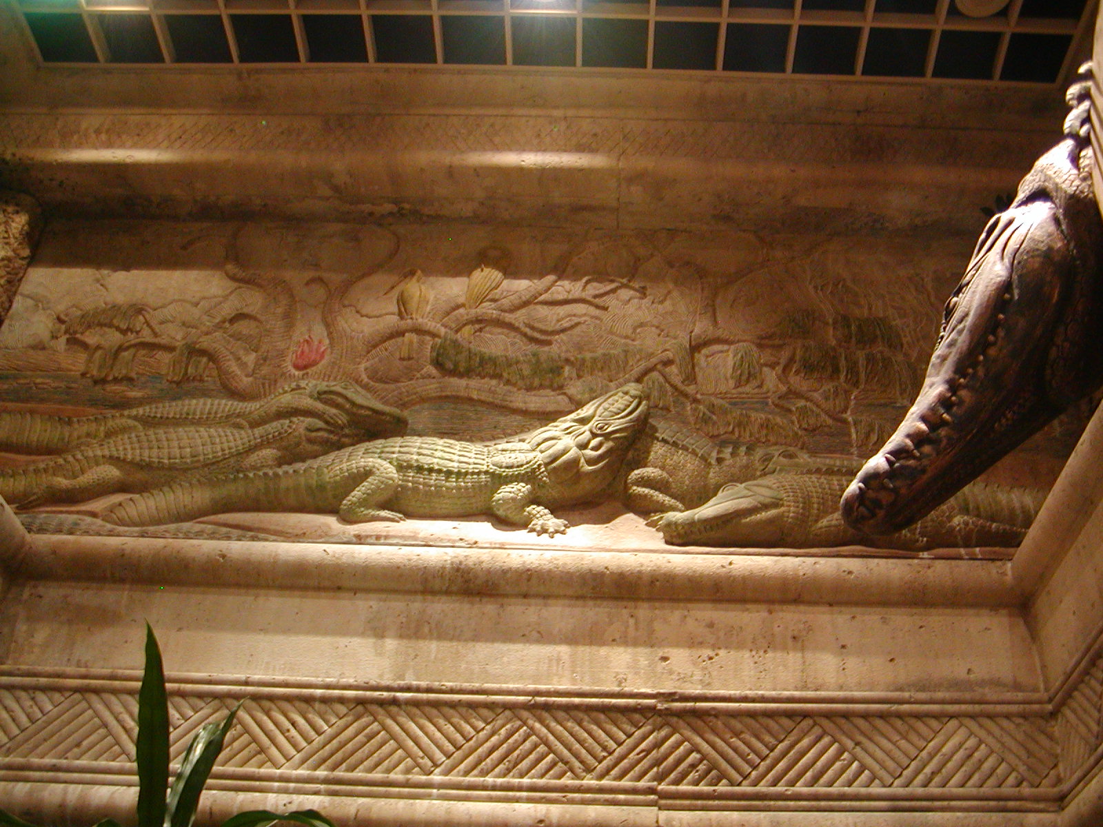 Shark Reef at Mandalay Bay