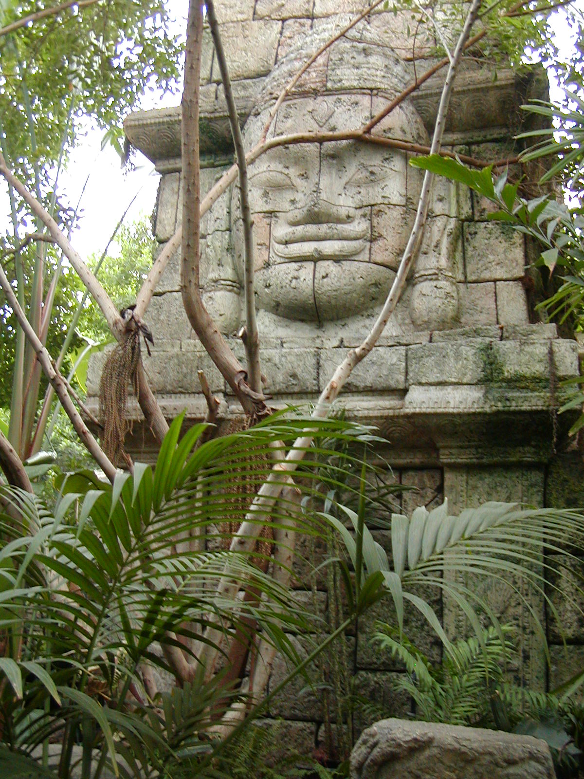 Shark Reef at Mandalay Bay