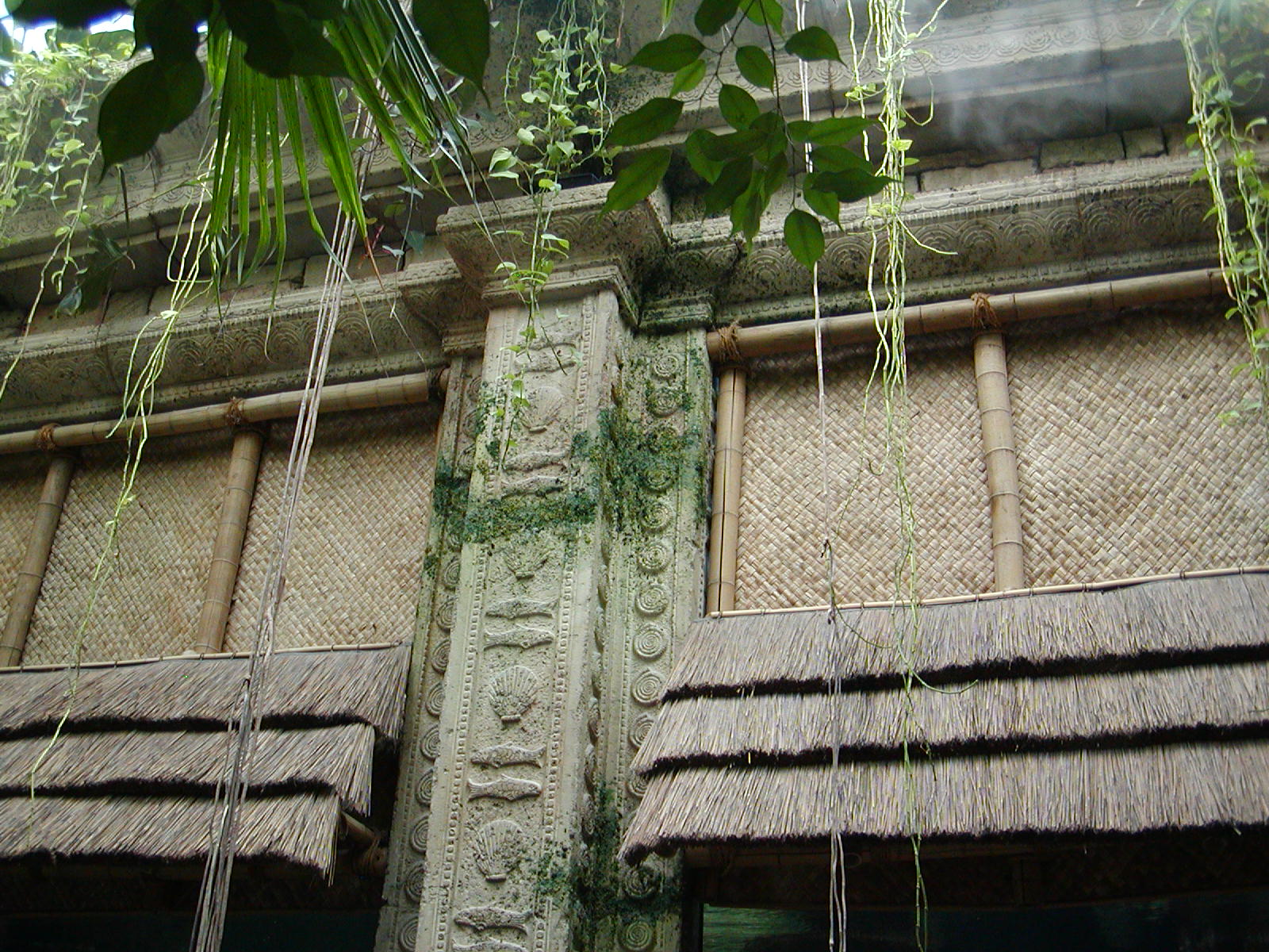Shark Reef at Mandalay Bay
