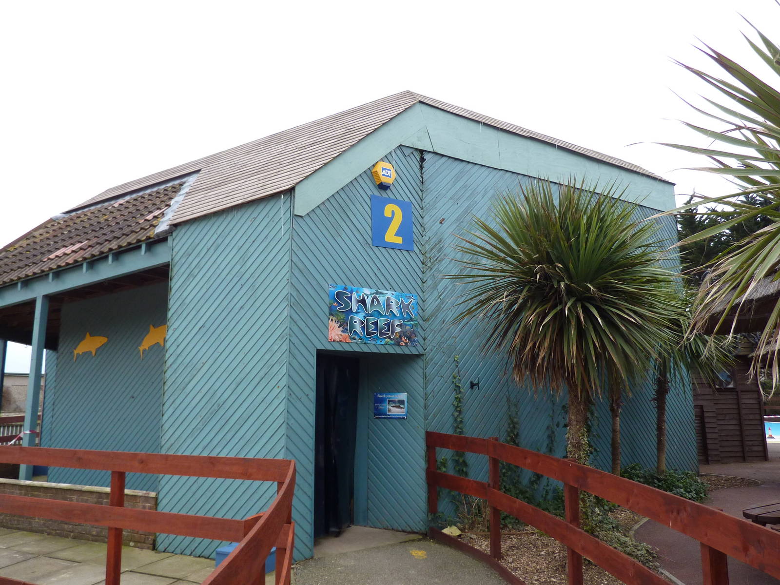 Shark reef building, 8th Feb 2012