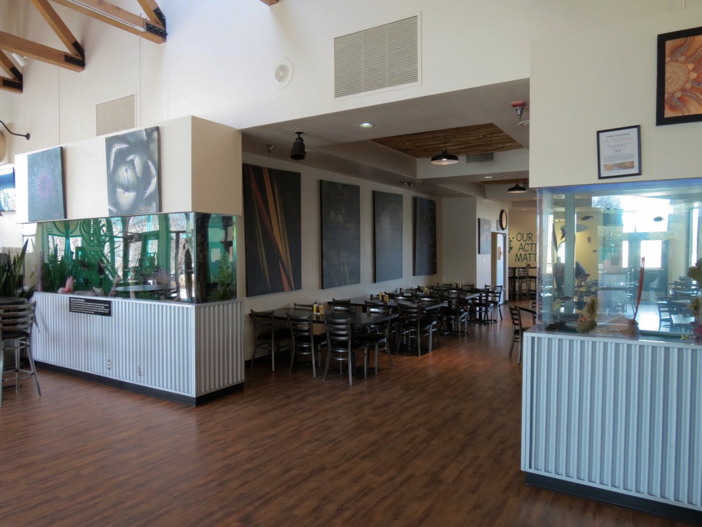 Shark Reef Cafe - Freshwater and Saltwater Exhibits