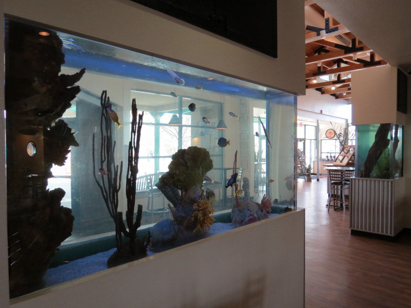 Shark Reef Cafe - Tropical Saltwater Exhibit