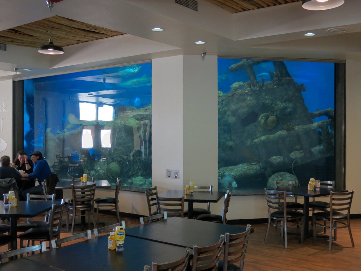 Shark Reef Cafe - View of Shark Tank Ehibit
