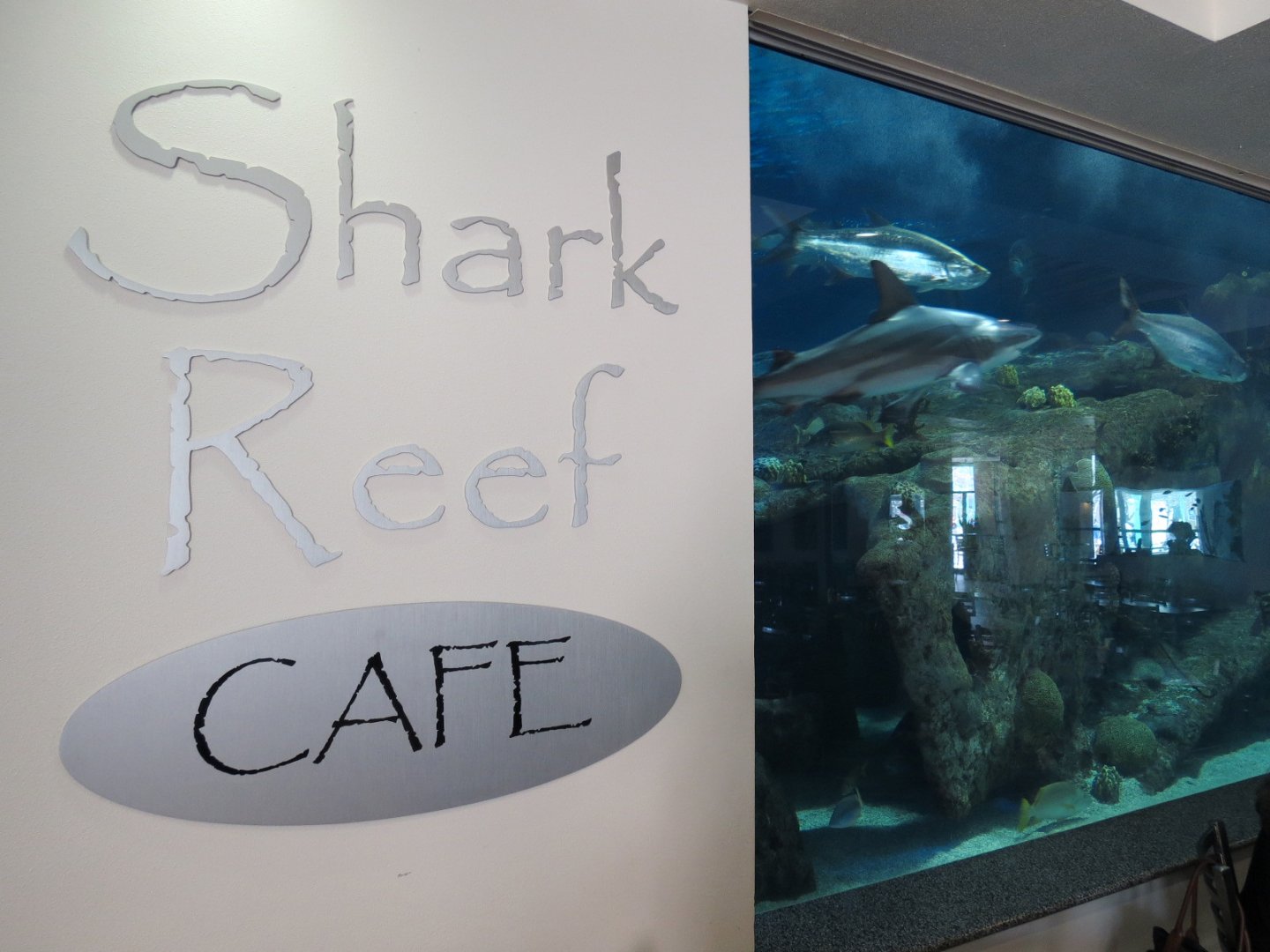 Shark Reef Cafe - View of Shark Tank Exhibit