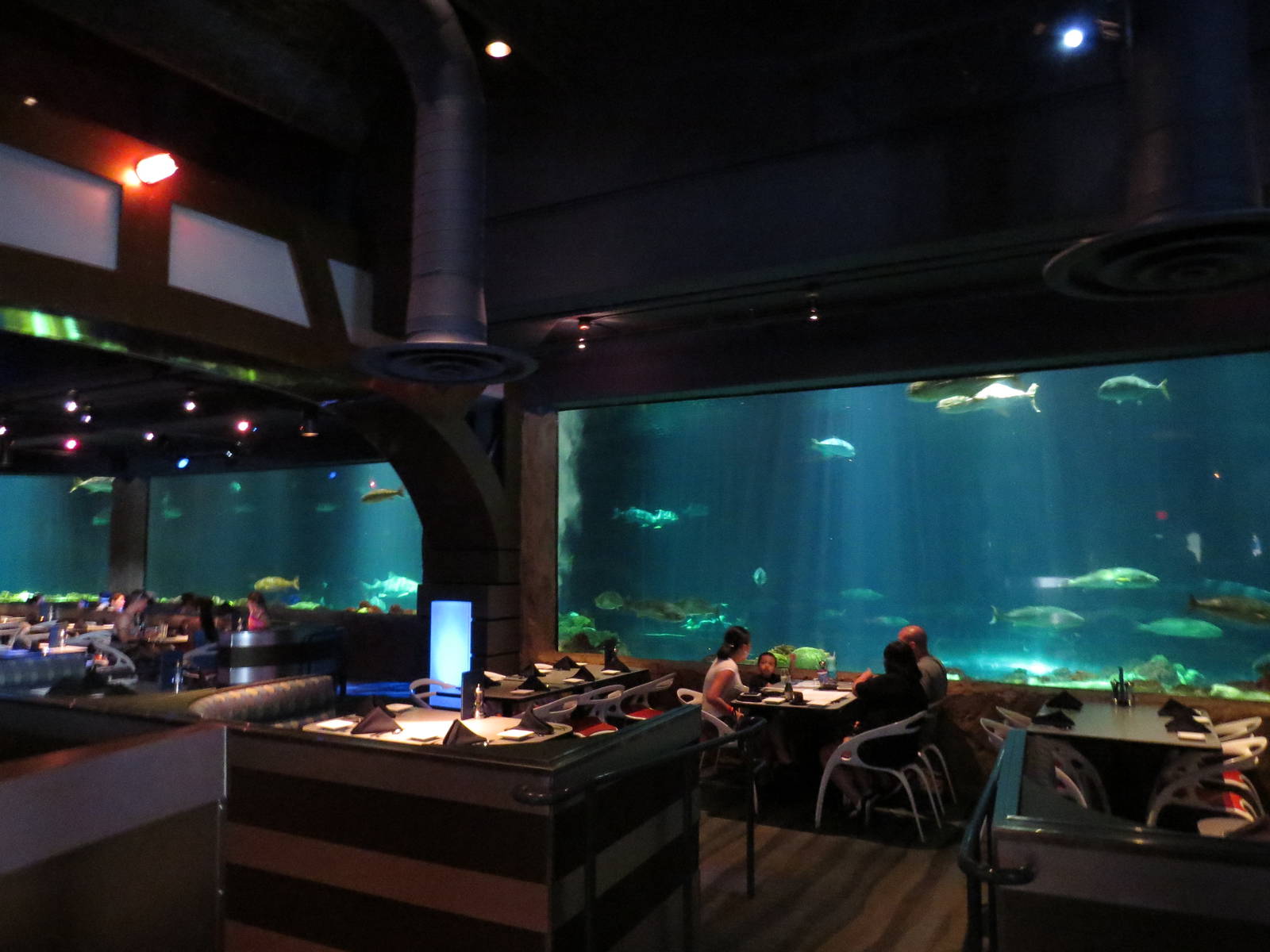 Shark restaurant, March 2015