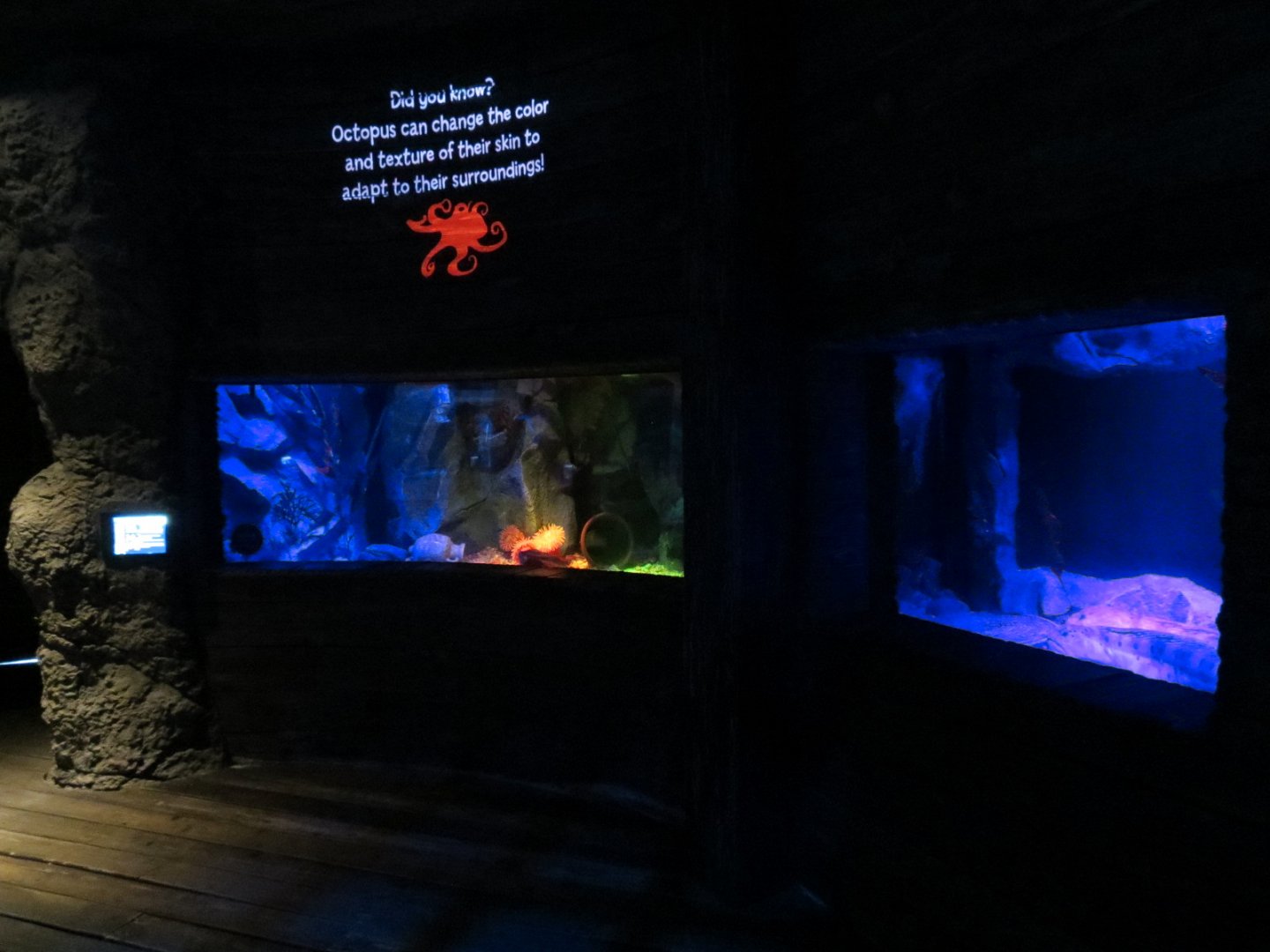 Shark Shipwreck Exhibits