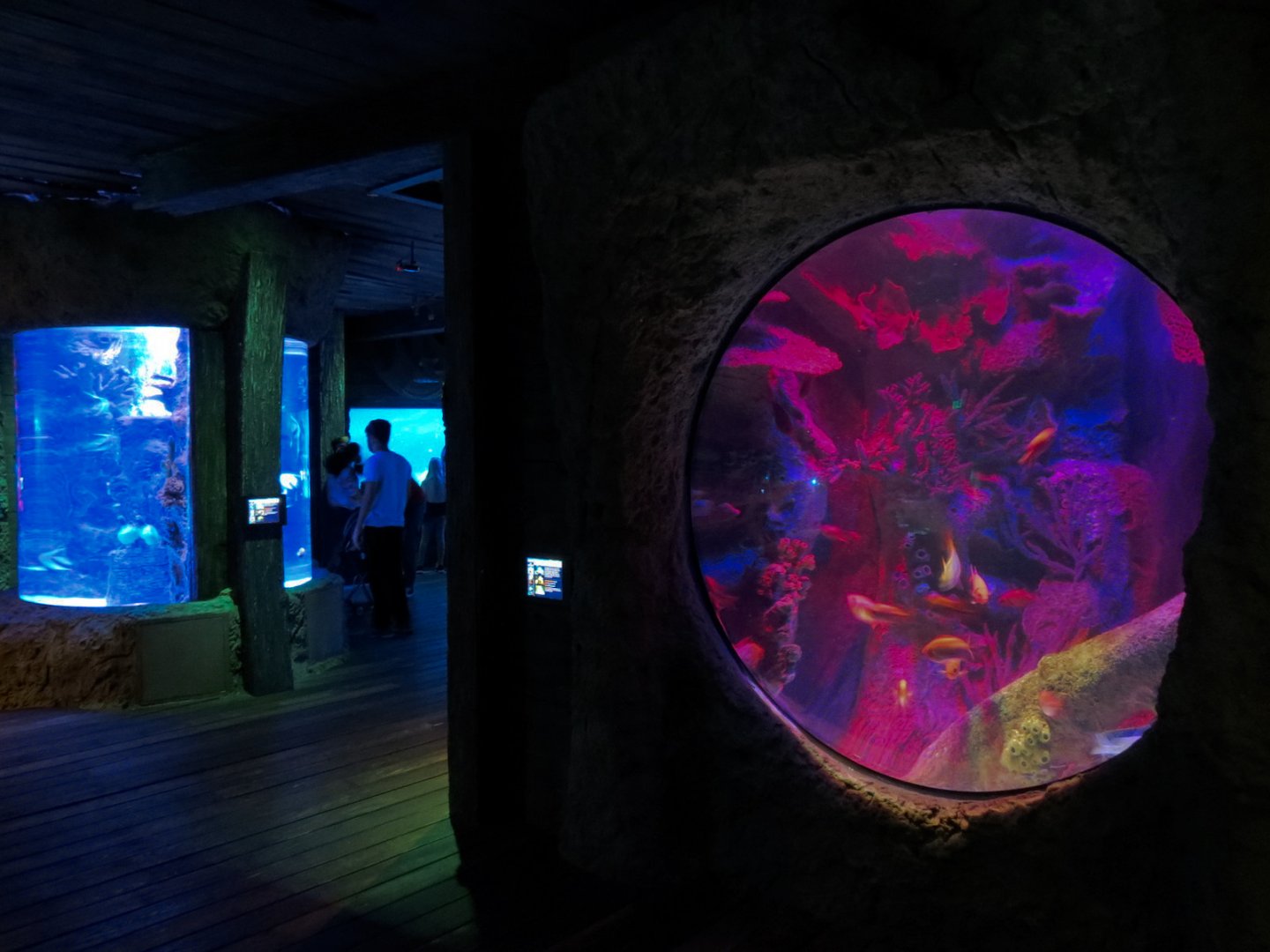 Shark Shipwreck Exhibits