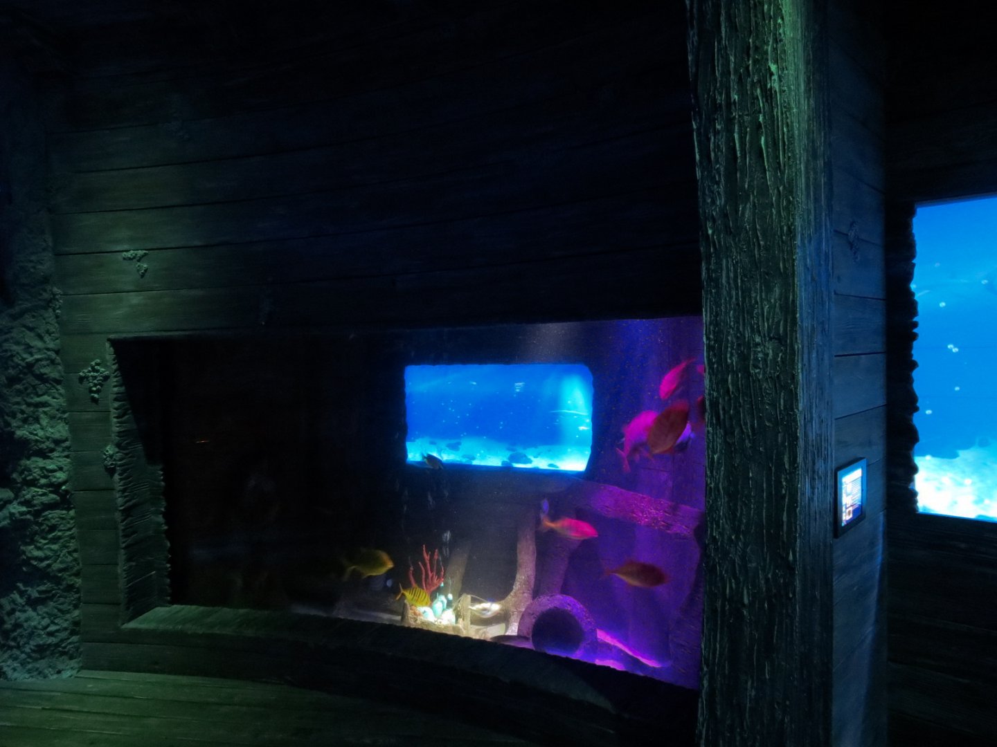 Shark Shipwreck Exhibits