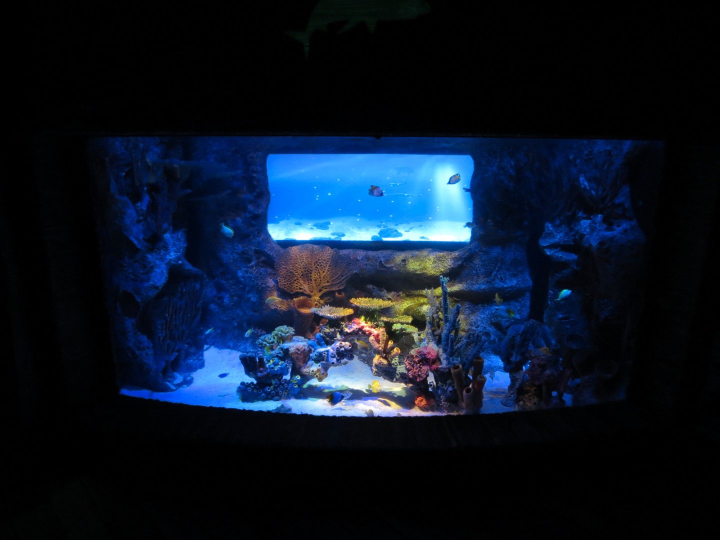 Shark Shipwreck Exhibits