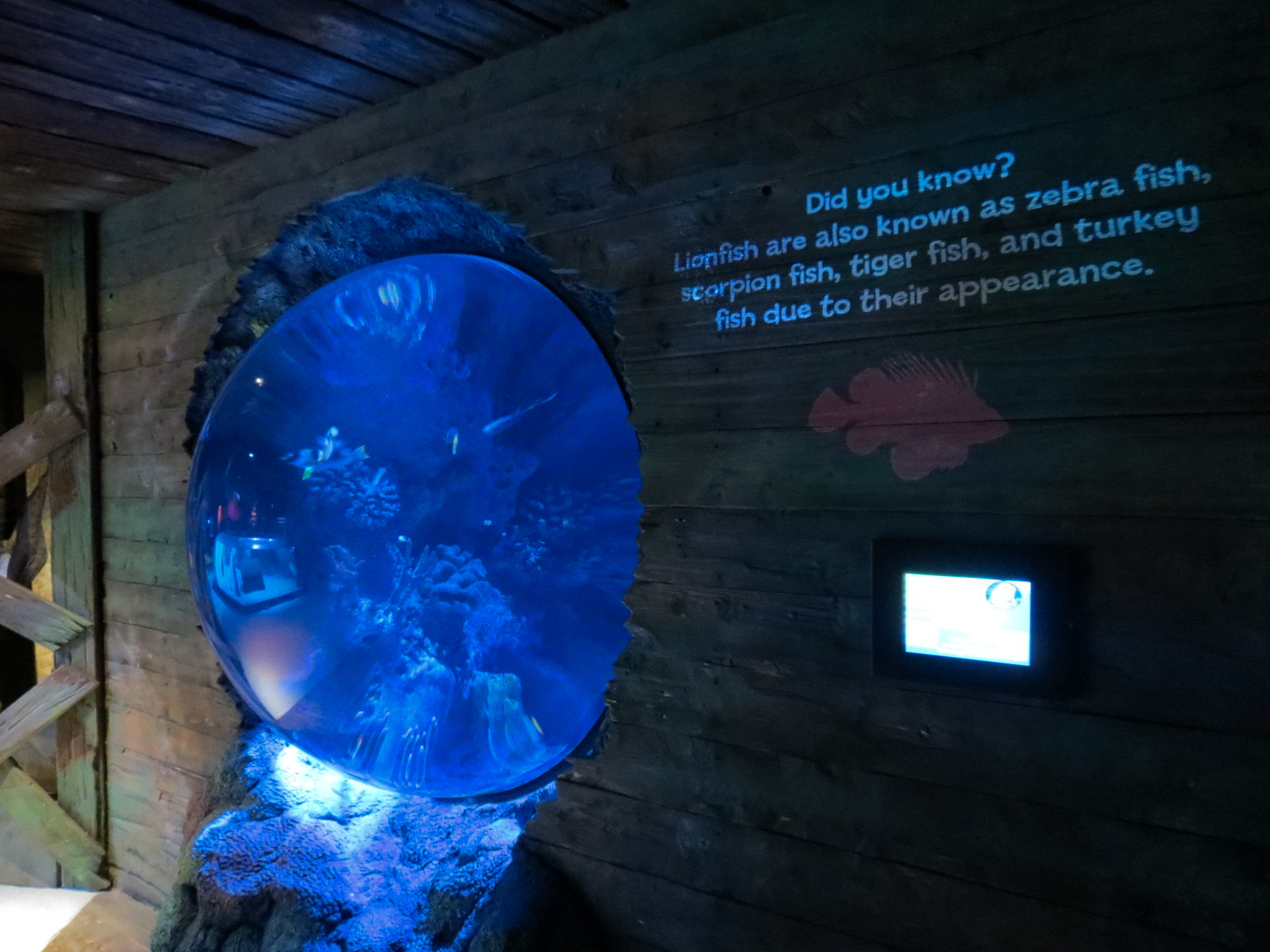 Shark Shipwreck Exhibits