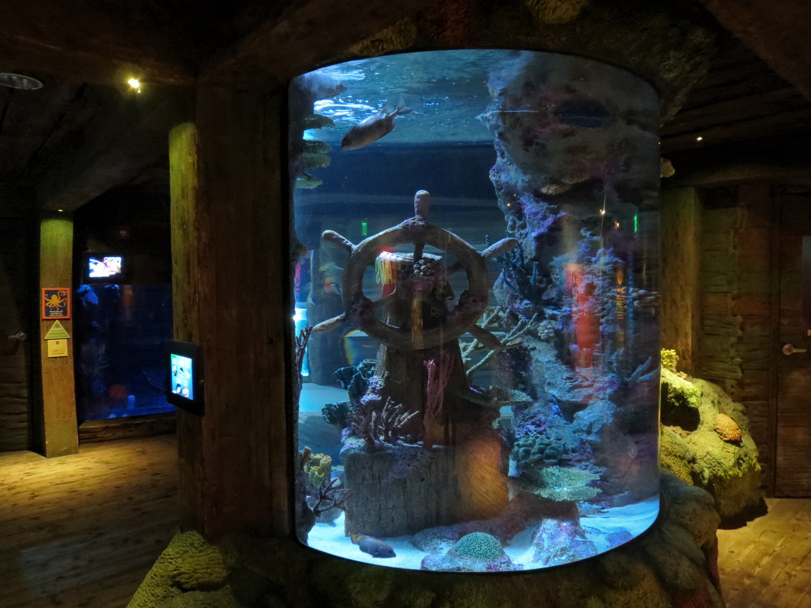 Shark Shipwreck Exhibits