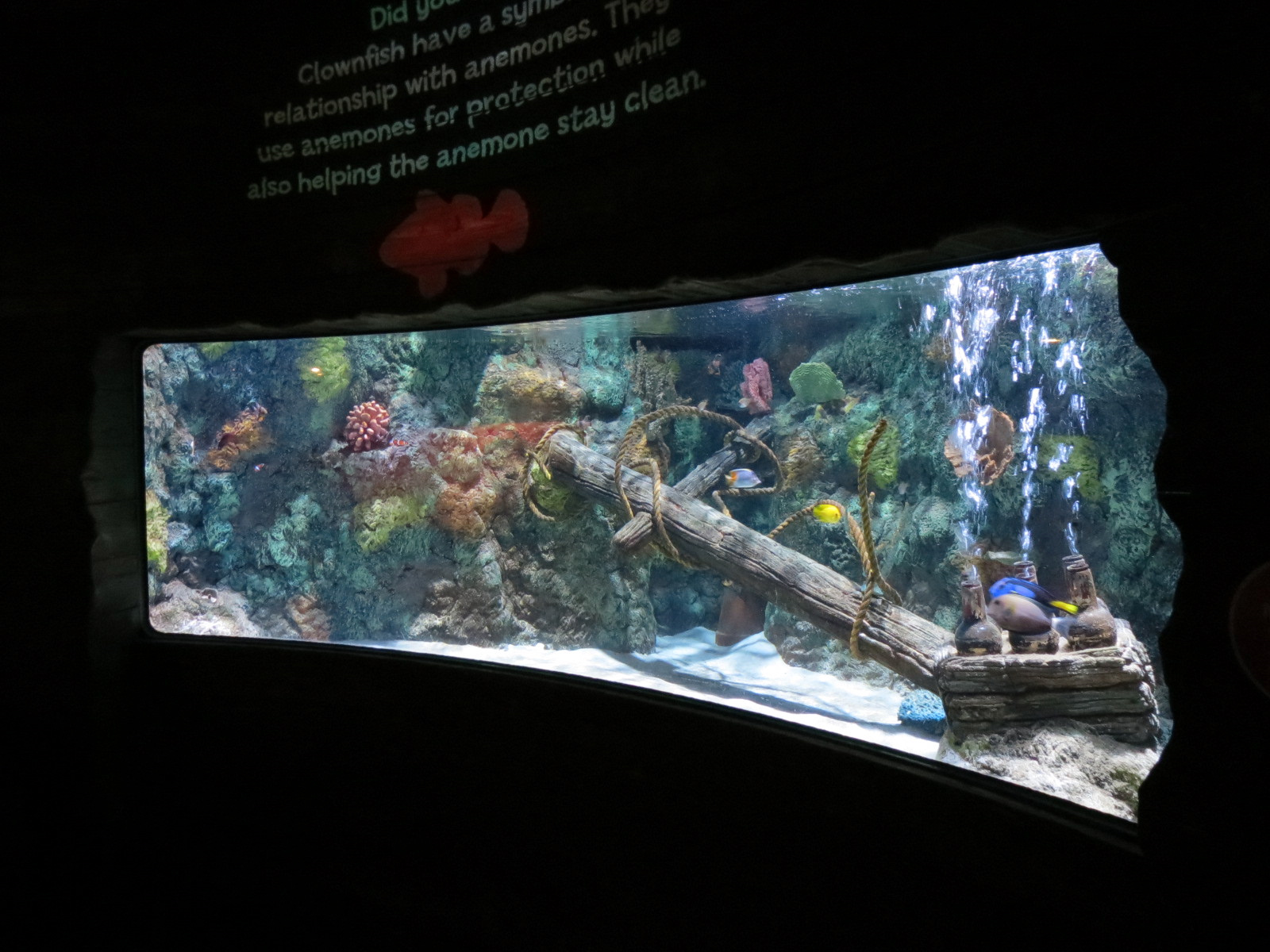 Shark Shipwreck Exhibits