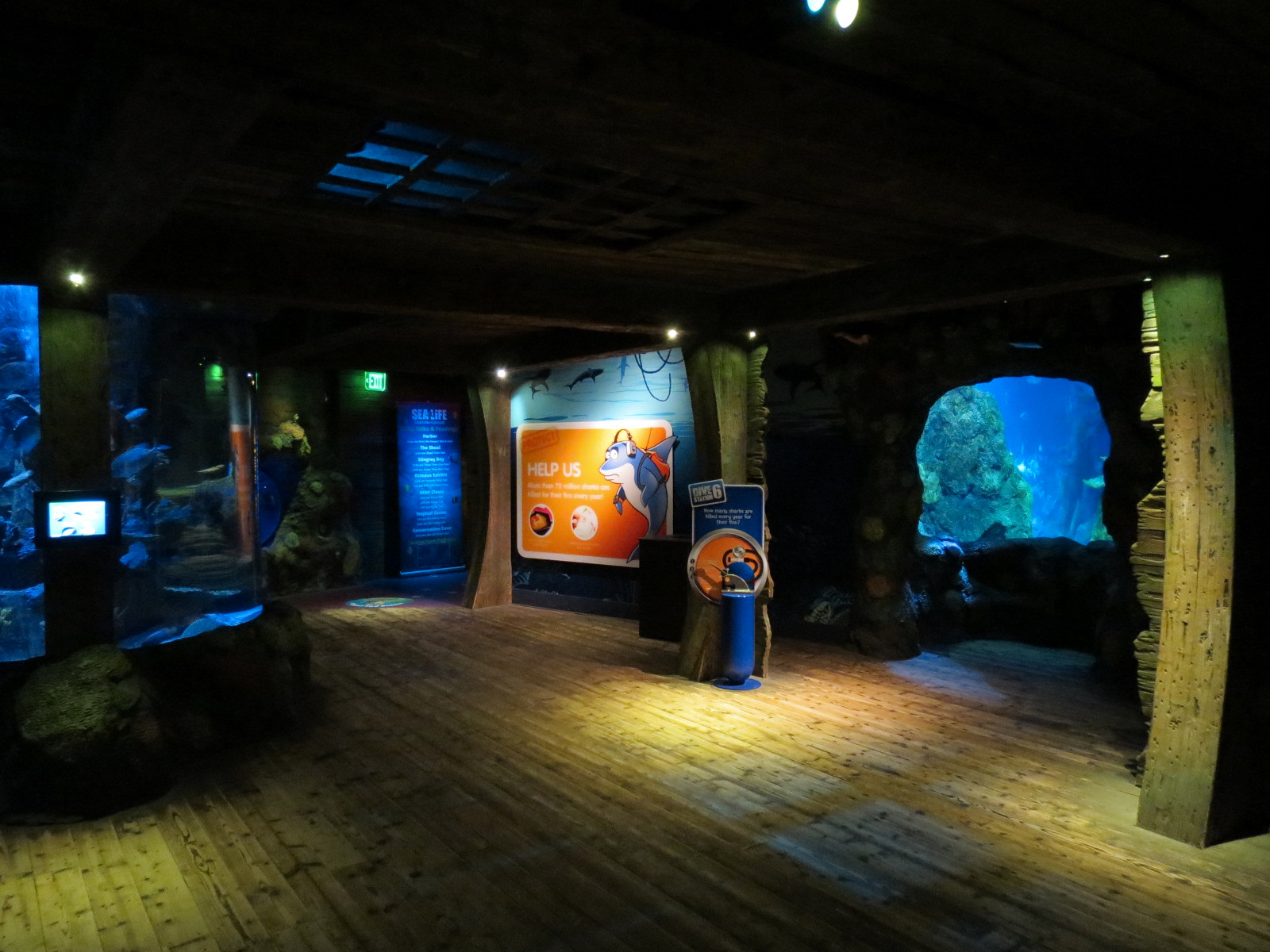 Shark Shipwreck Exhibits
