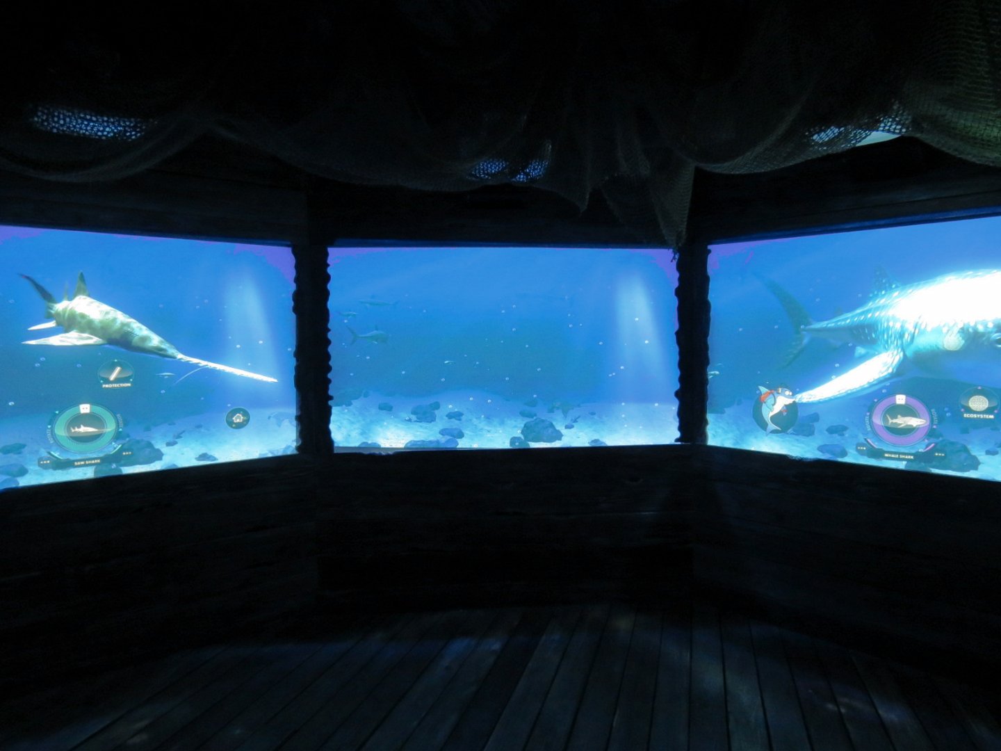 Shark Shipwreck Interactive Game