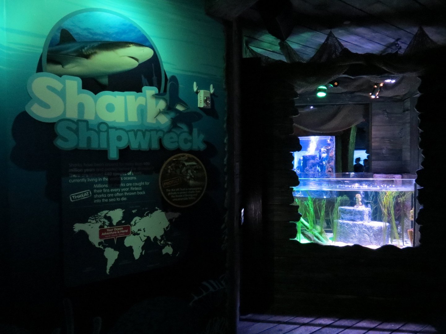 Shark Shipwreck Sign