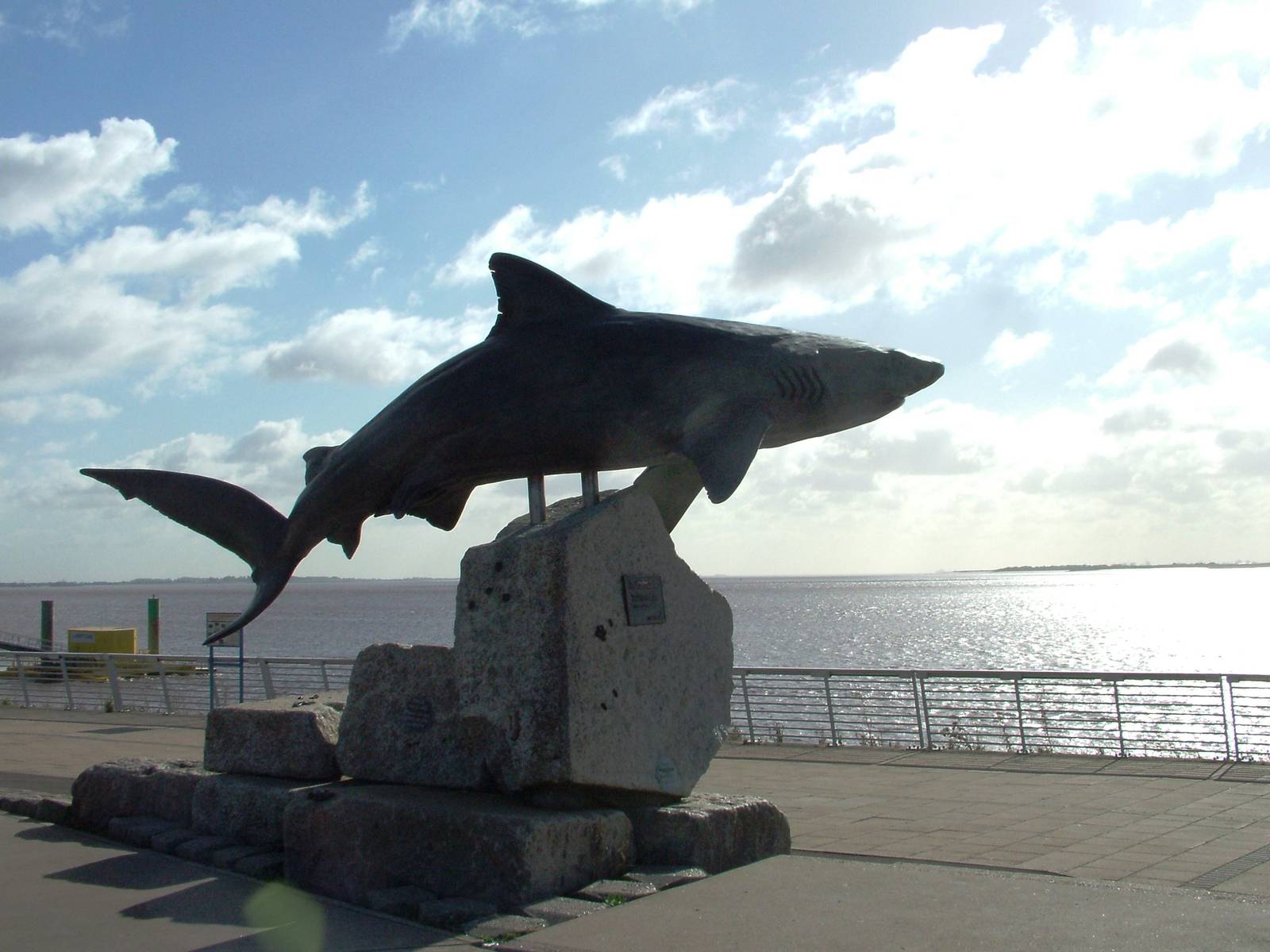 Shark Statue at The Deep, 29/09/12