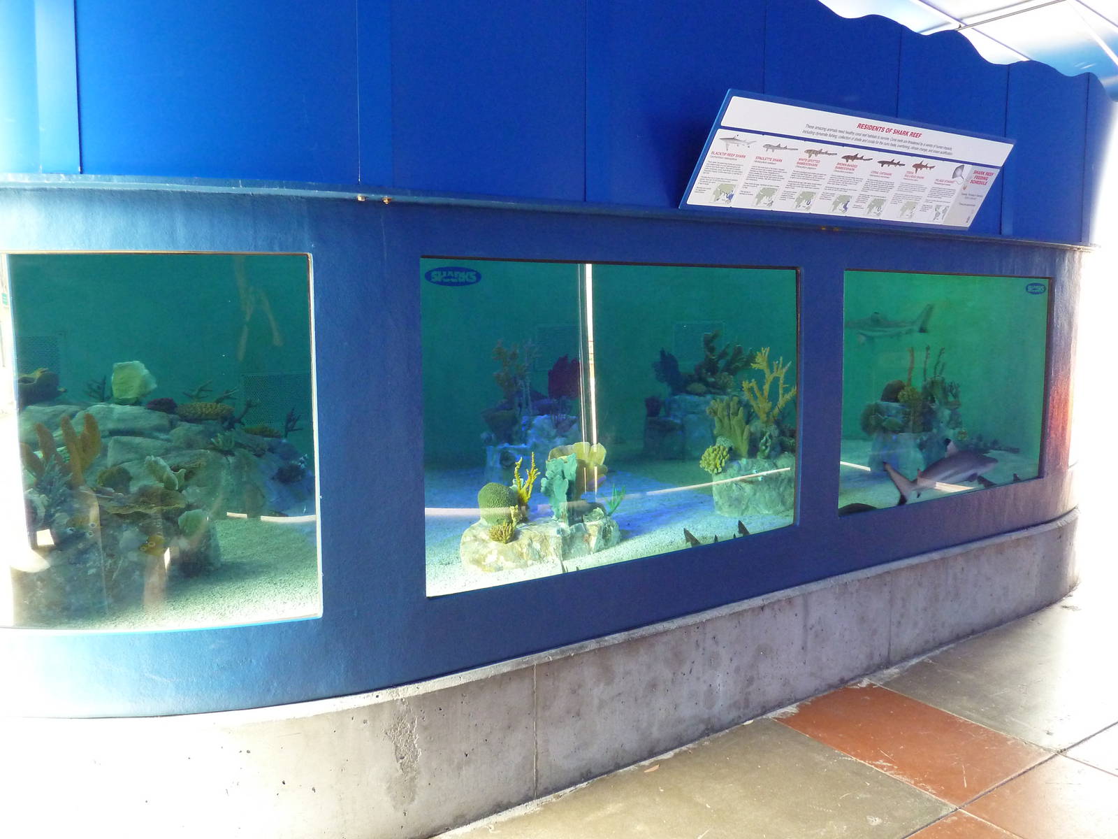 Shark Tank (7 Species)