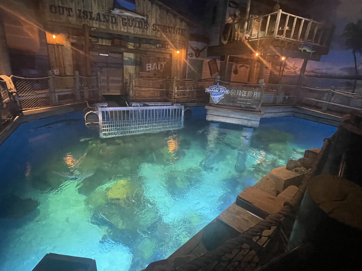 Shark Tank Above Water View