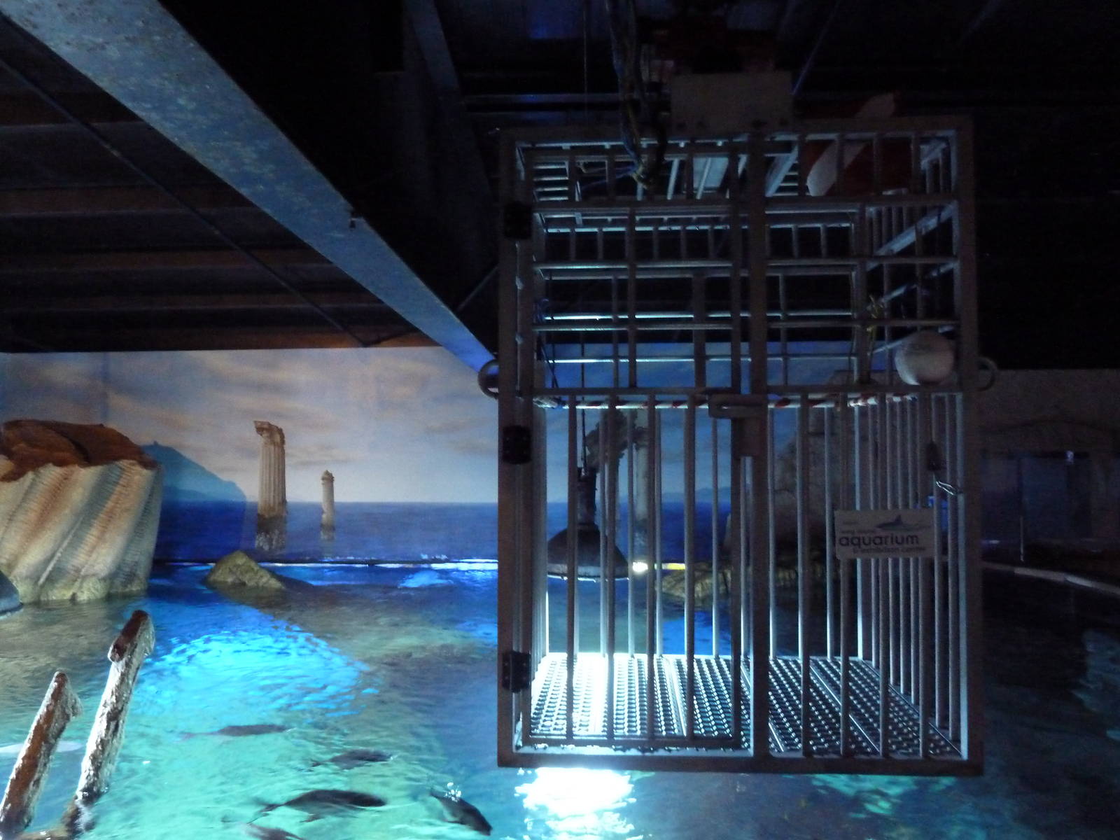 Shark Tank - Diving Cage