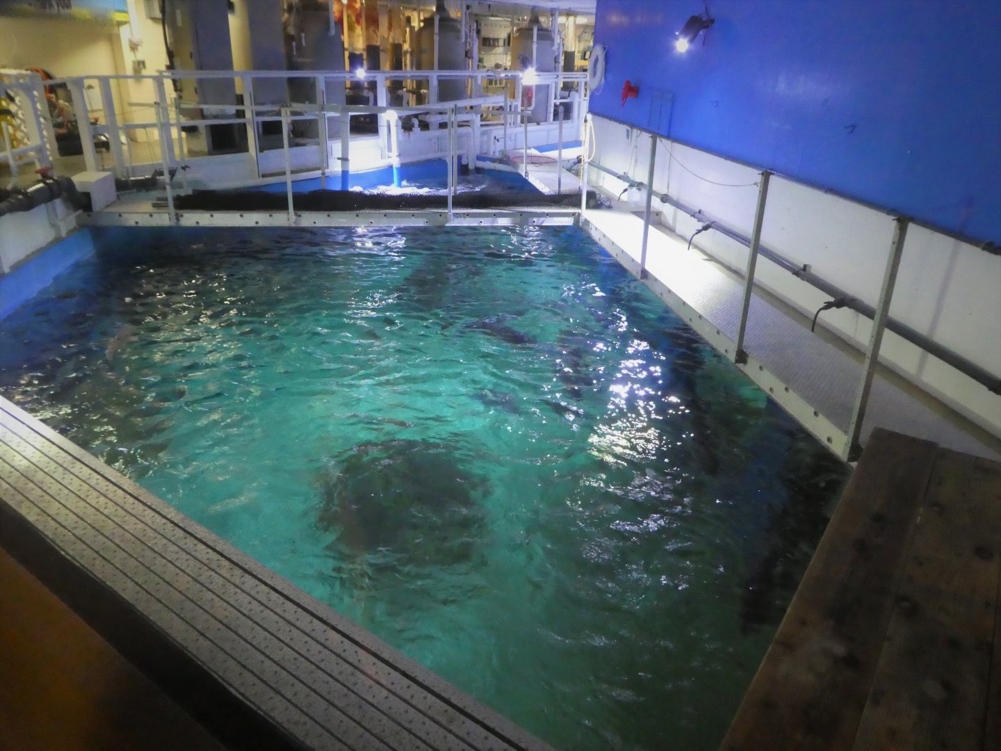 Shark Tank From Above