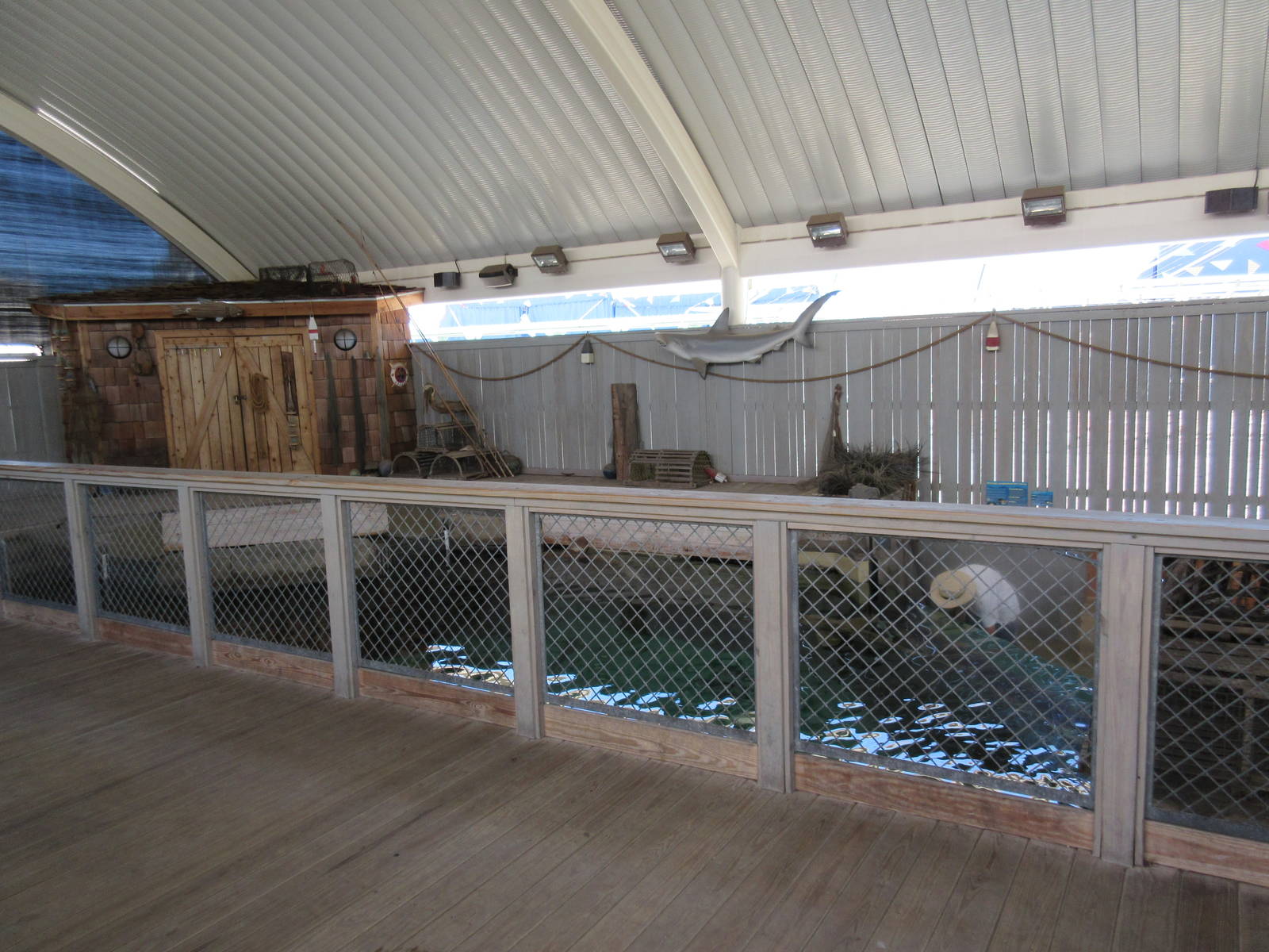 Shark Tank - Overhead View