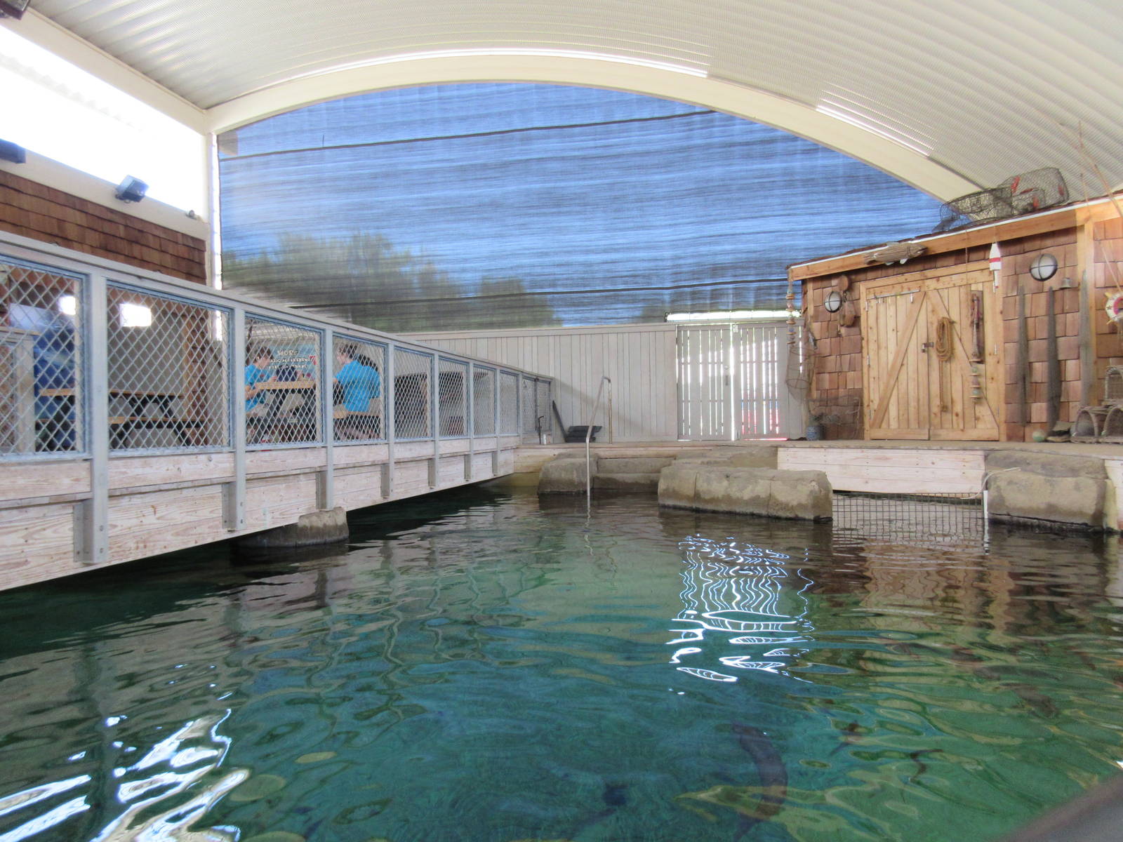 Shark Tank - Overhead View