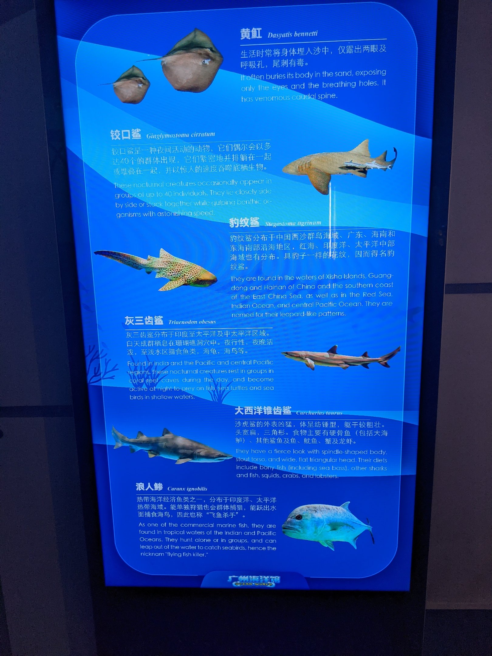 Shark tank signage - Ocean World (Guangzhou)