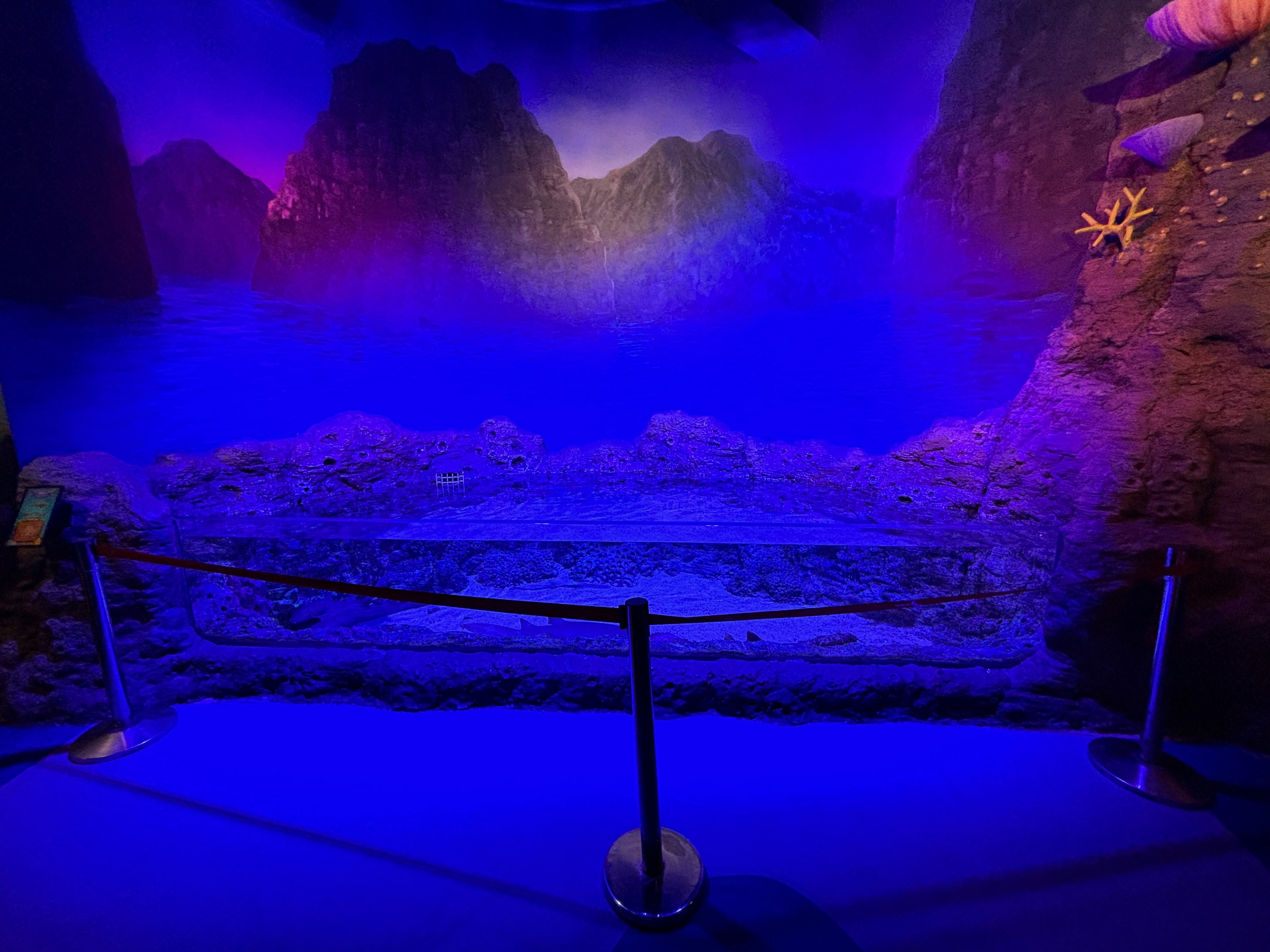 Shark Touch Tank - BXSea Aquarium