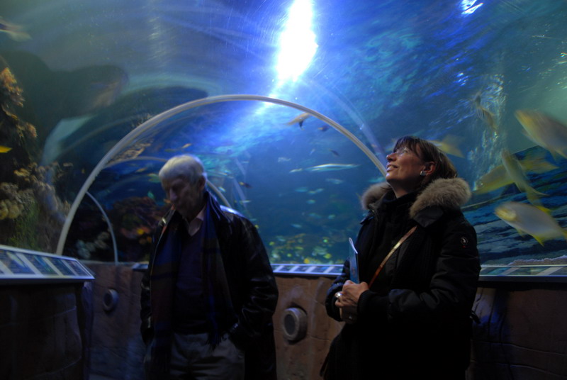 Shark-tunnel at Timmendorfer Strand