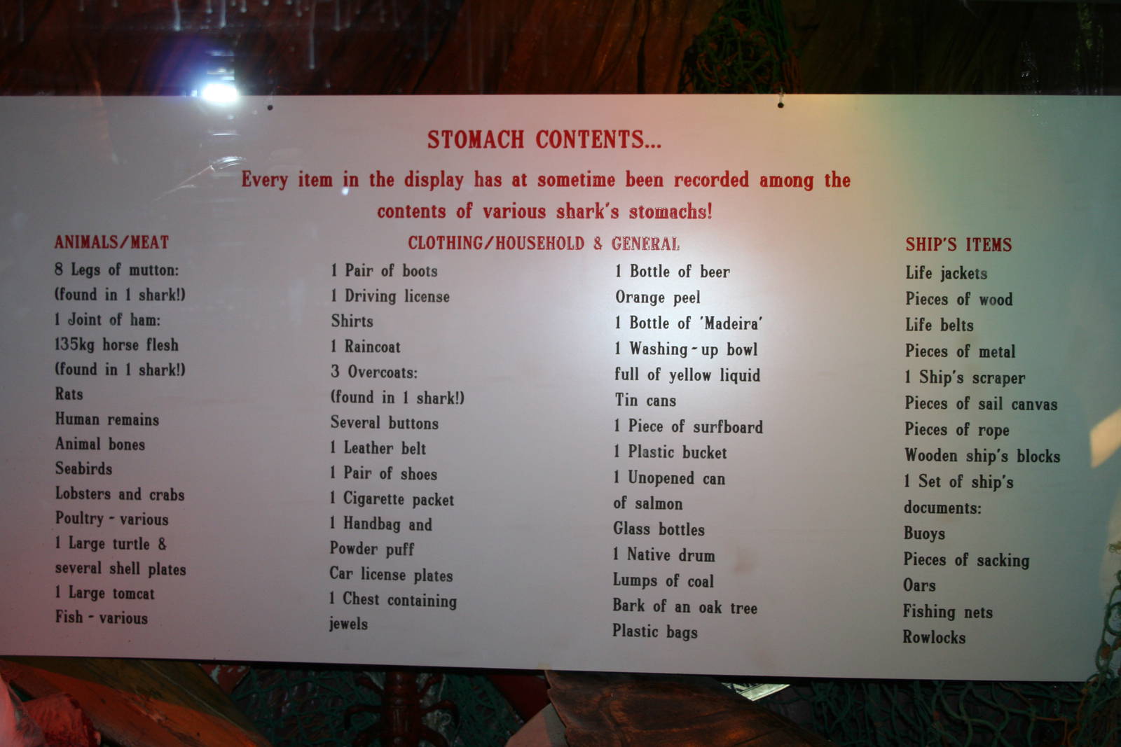 Shark tunnel signage