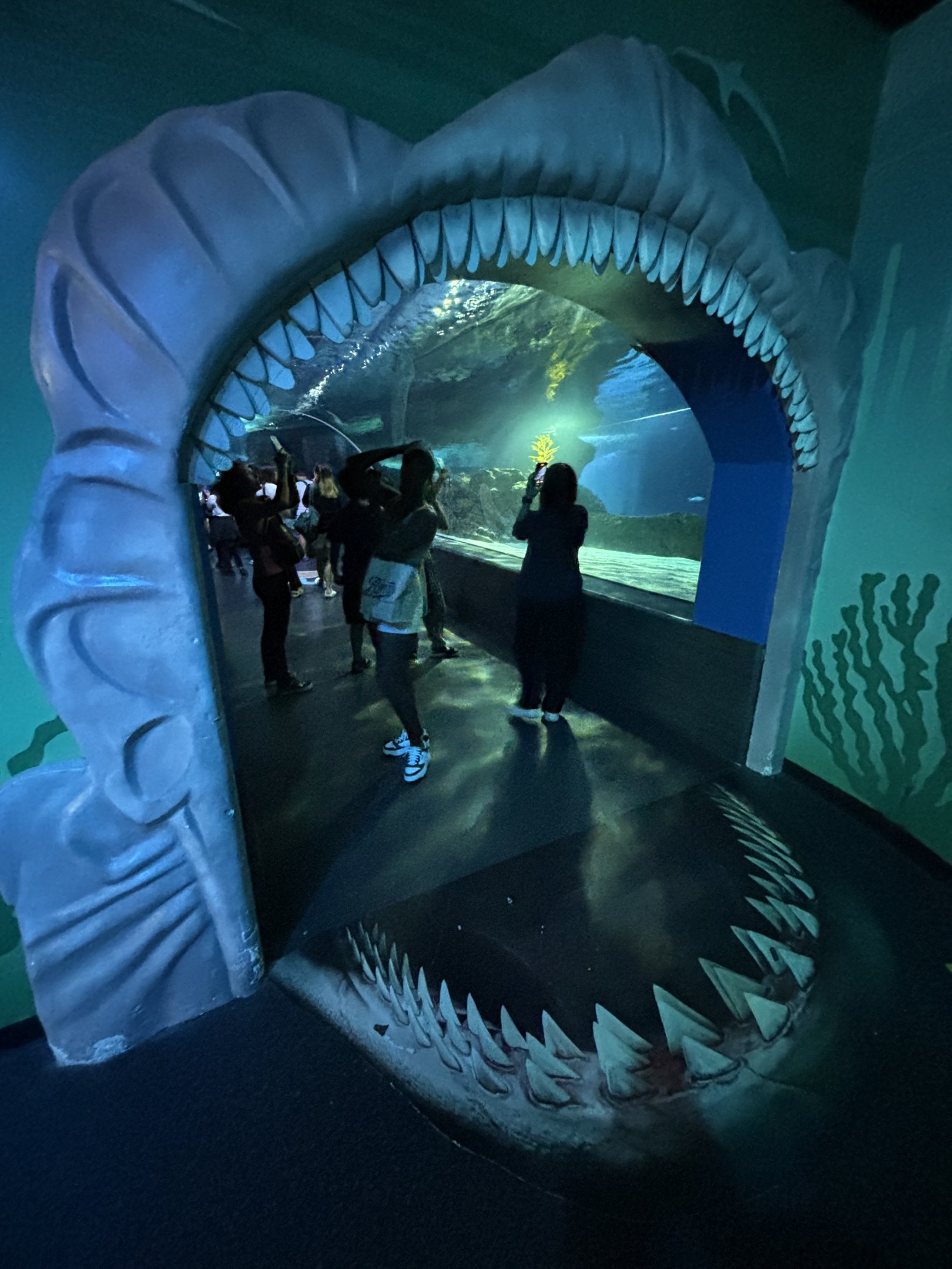 Shark Tunnel