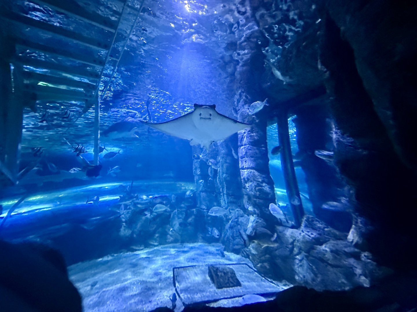Shark Valley Exhibit