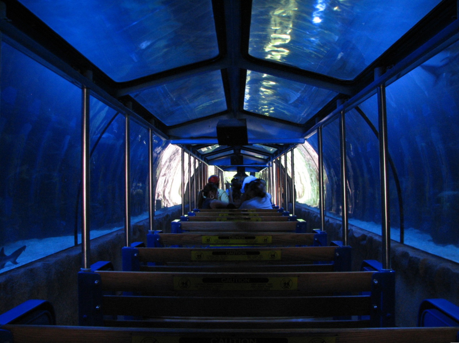 Shark Voyage - 200,000 Gallon Shark Tunnel