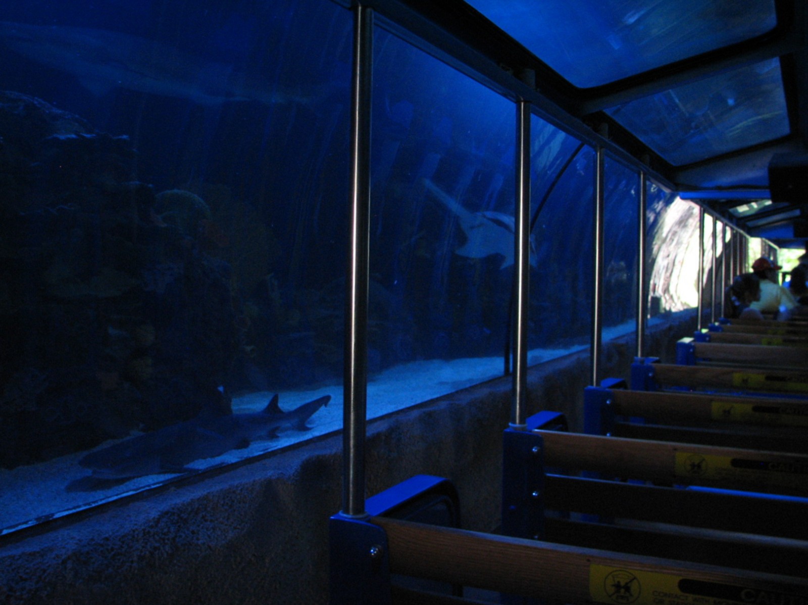 Shark Voyage - 200,000 Gallon Shark Tunnel