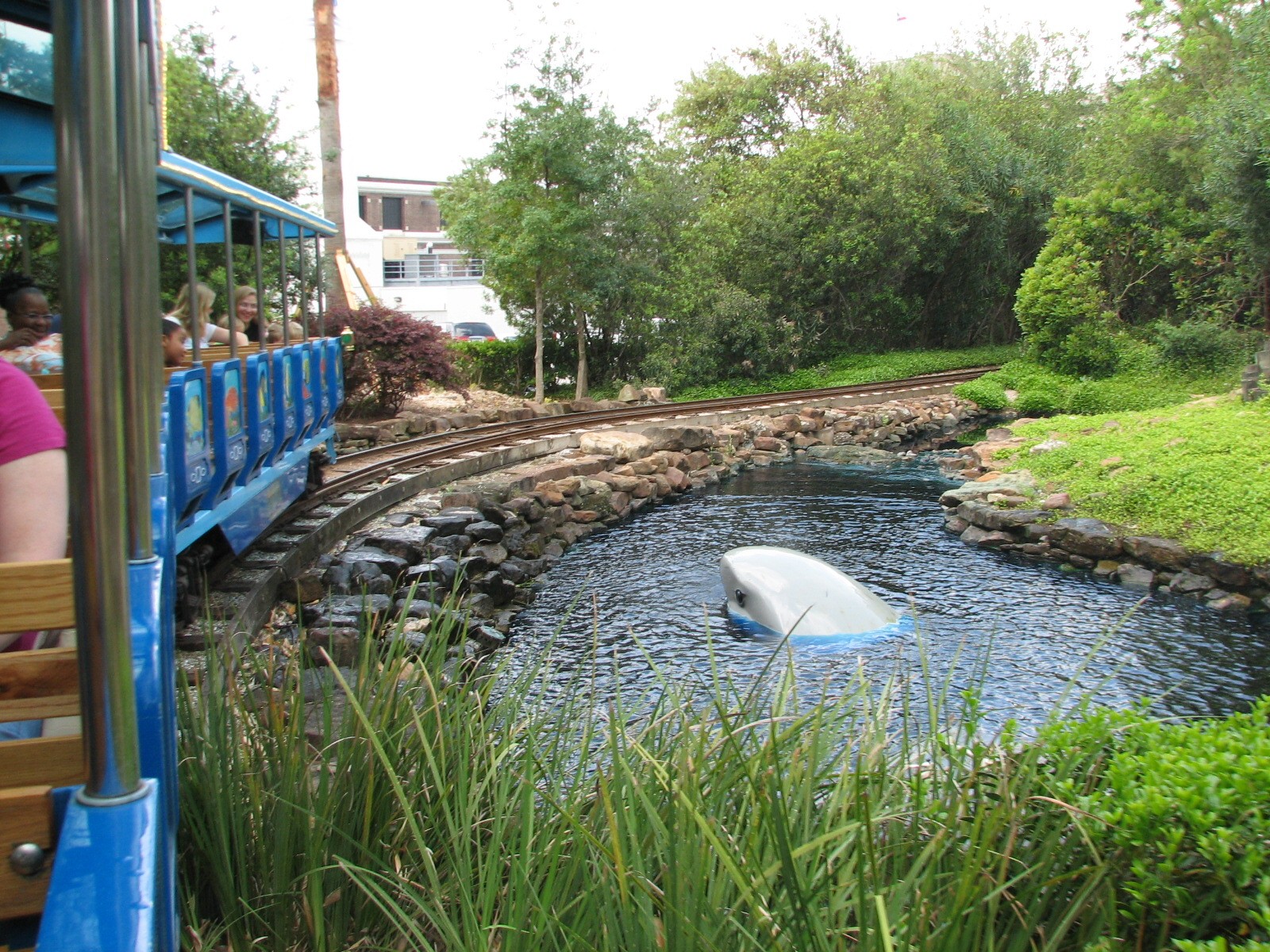 Shark Voyage - Simulated Shark Attack